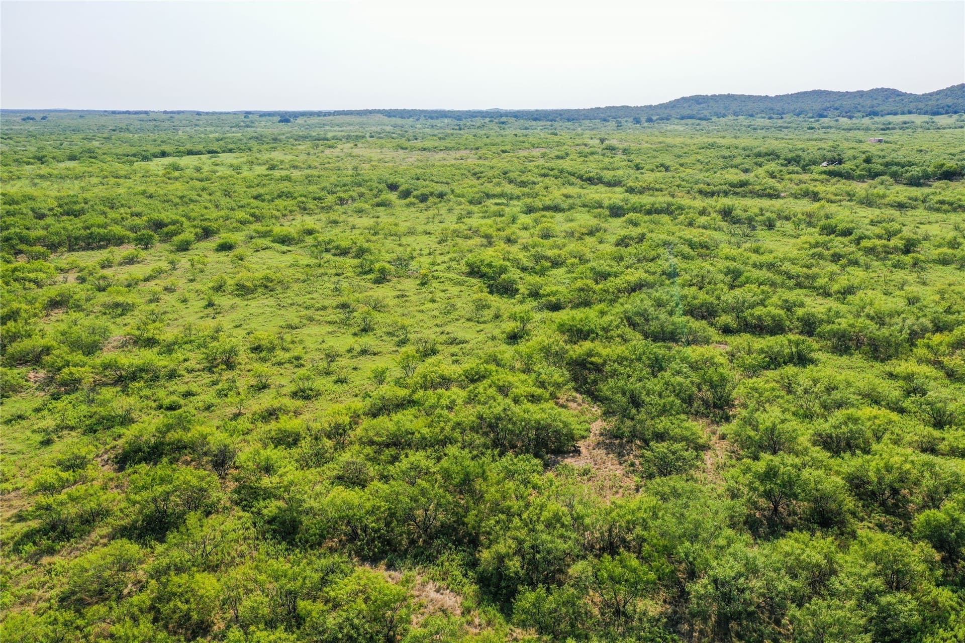 262.71 acres in Jack County - photo 11