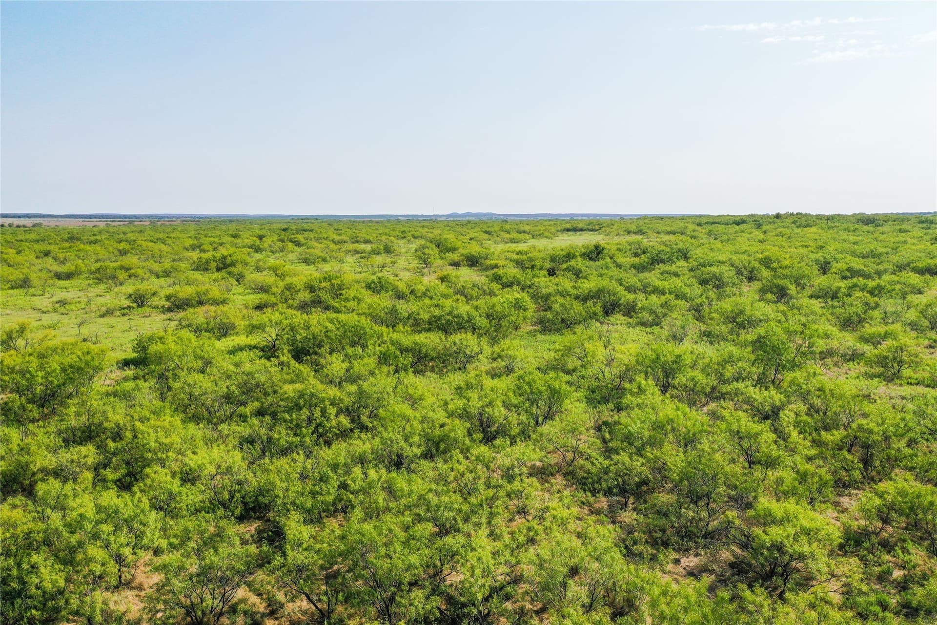 262.71 acres in Jack County - photo 3