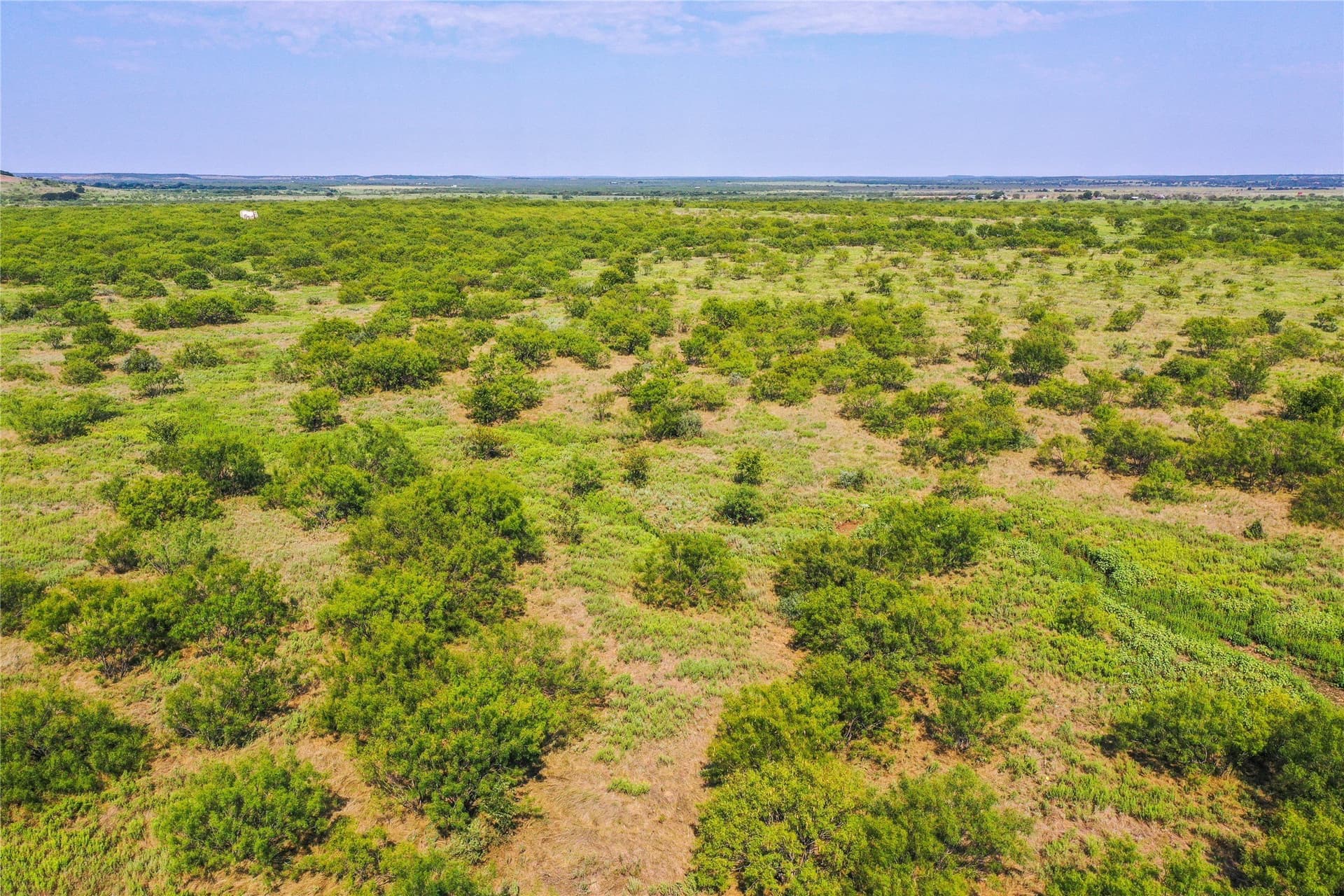 262.71 acres in Jack County - photo 18