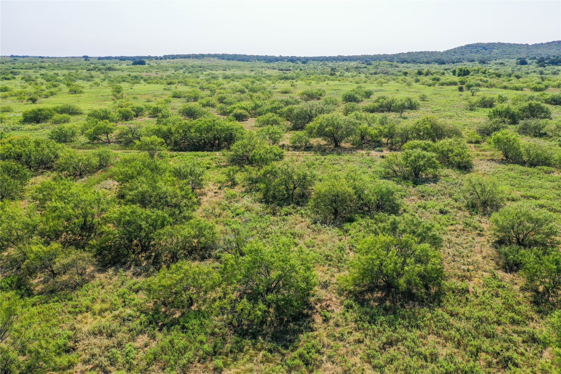 262.71 acres in Jack County - photo 25
