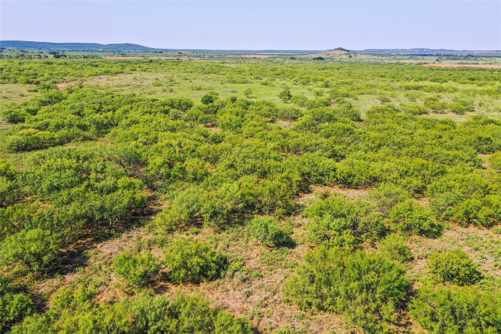 262.71 acres in Jack County - photo 23