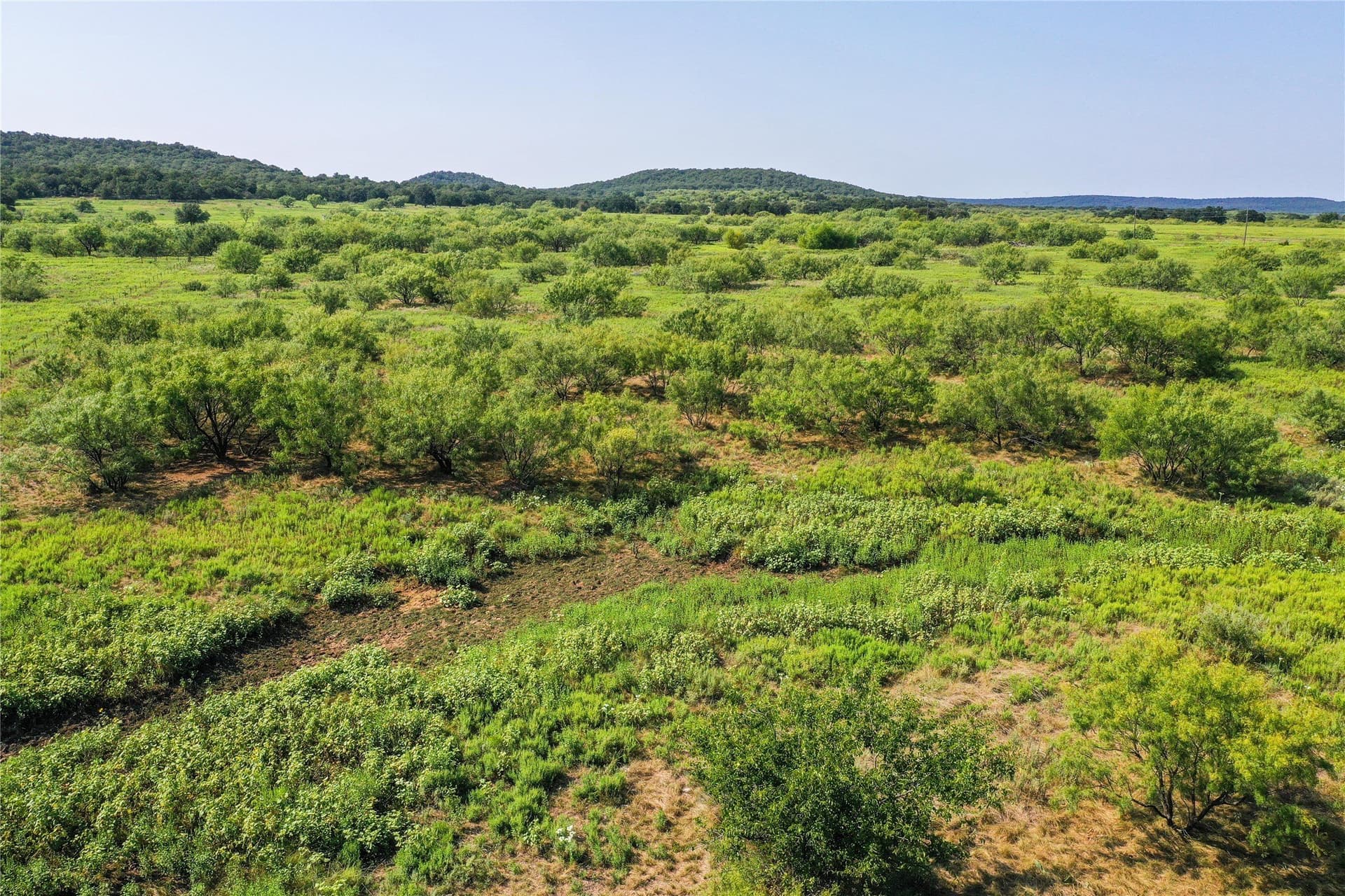 262.71 acres in Jack County - photo 15