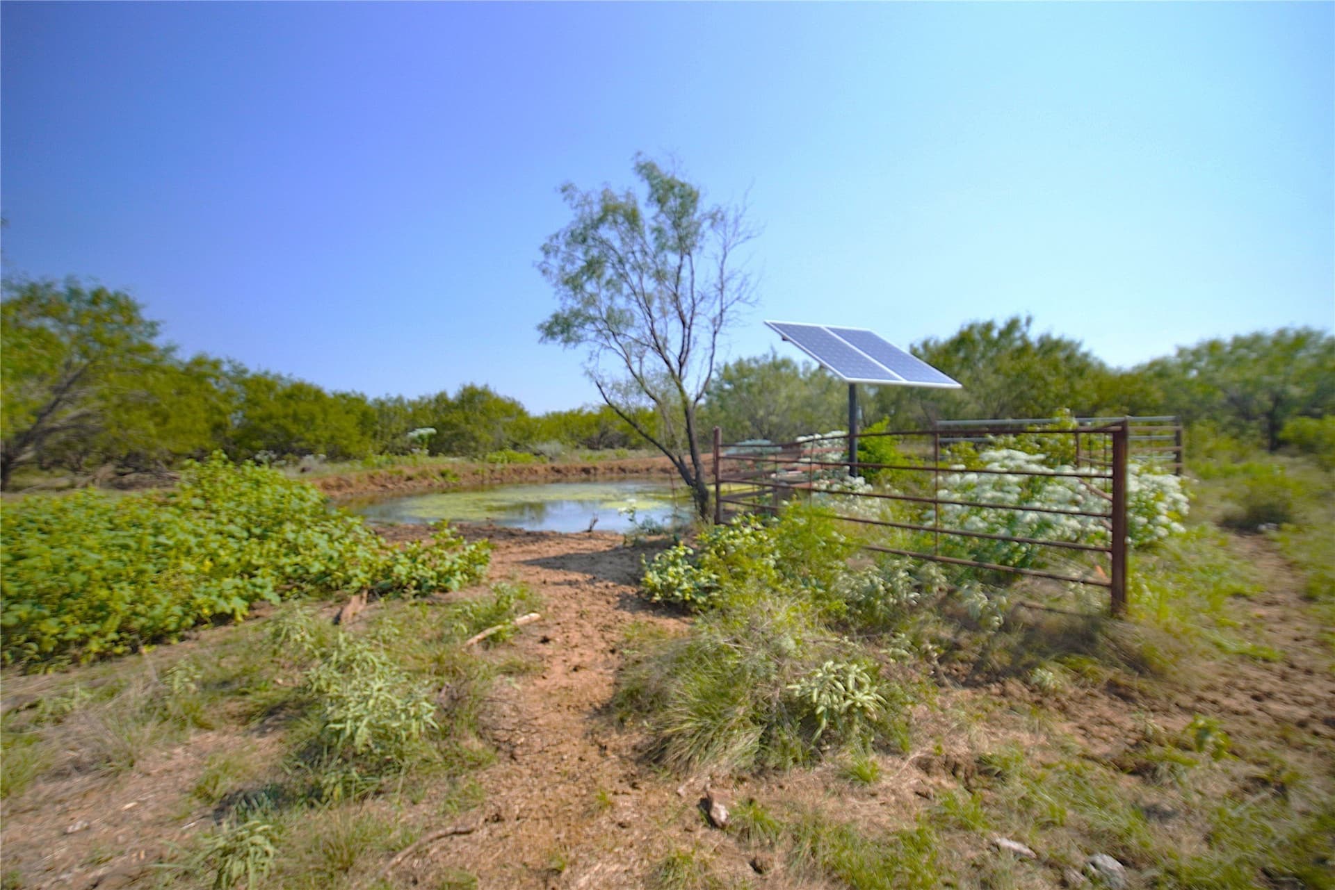 262.71 acres in Jack County - photo 28