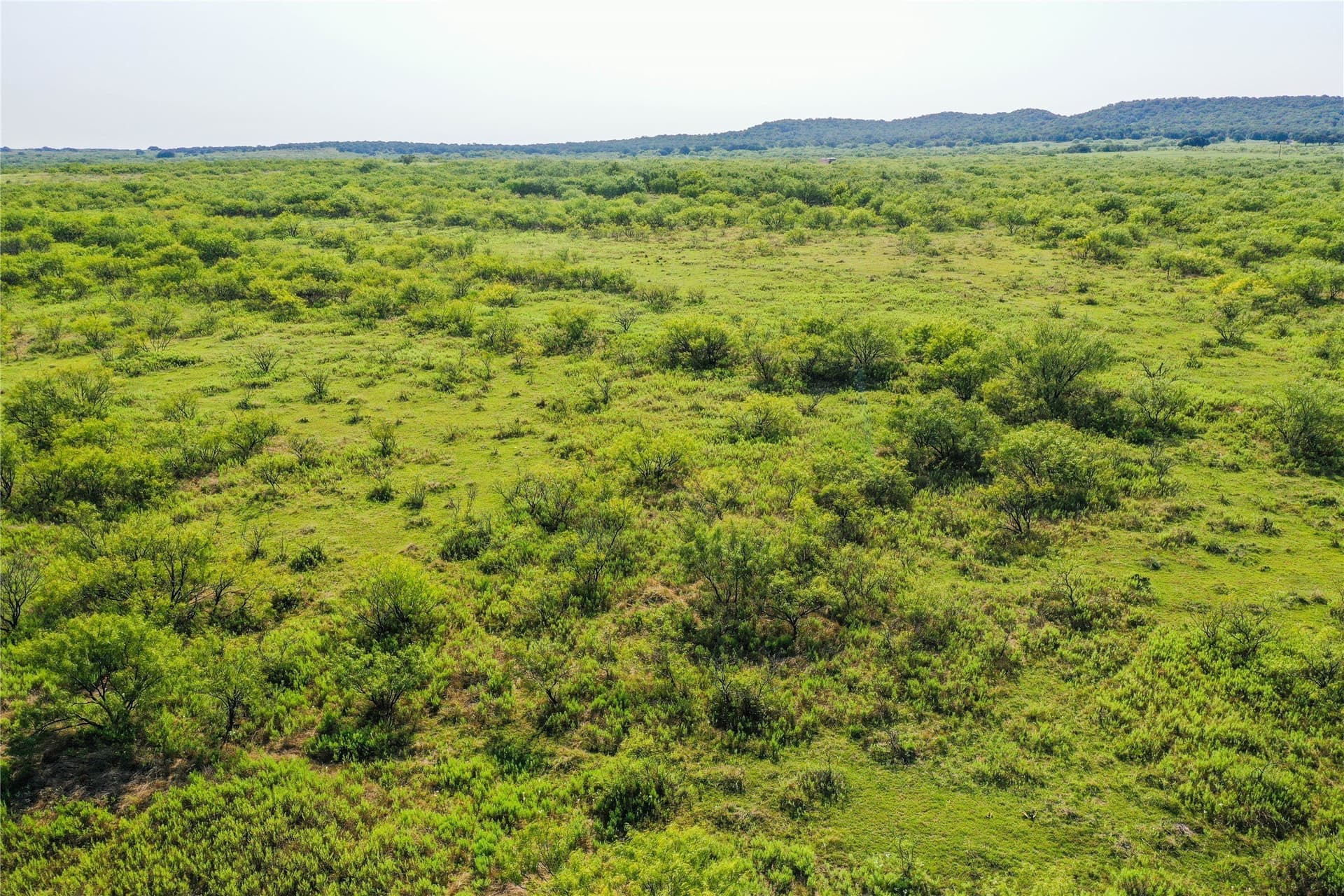 262.71 acres in Jack County - photo 12