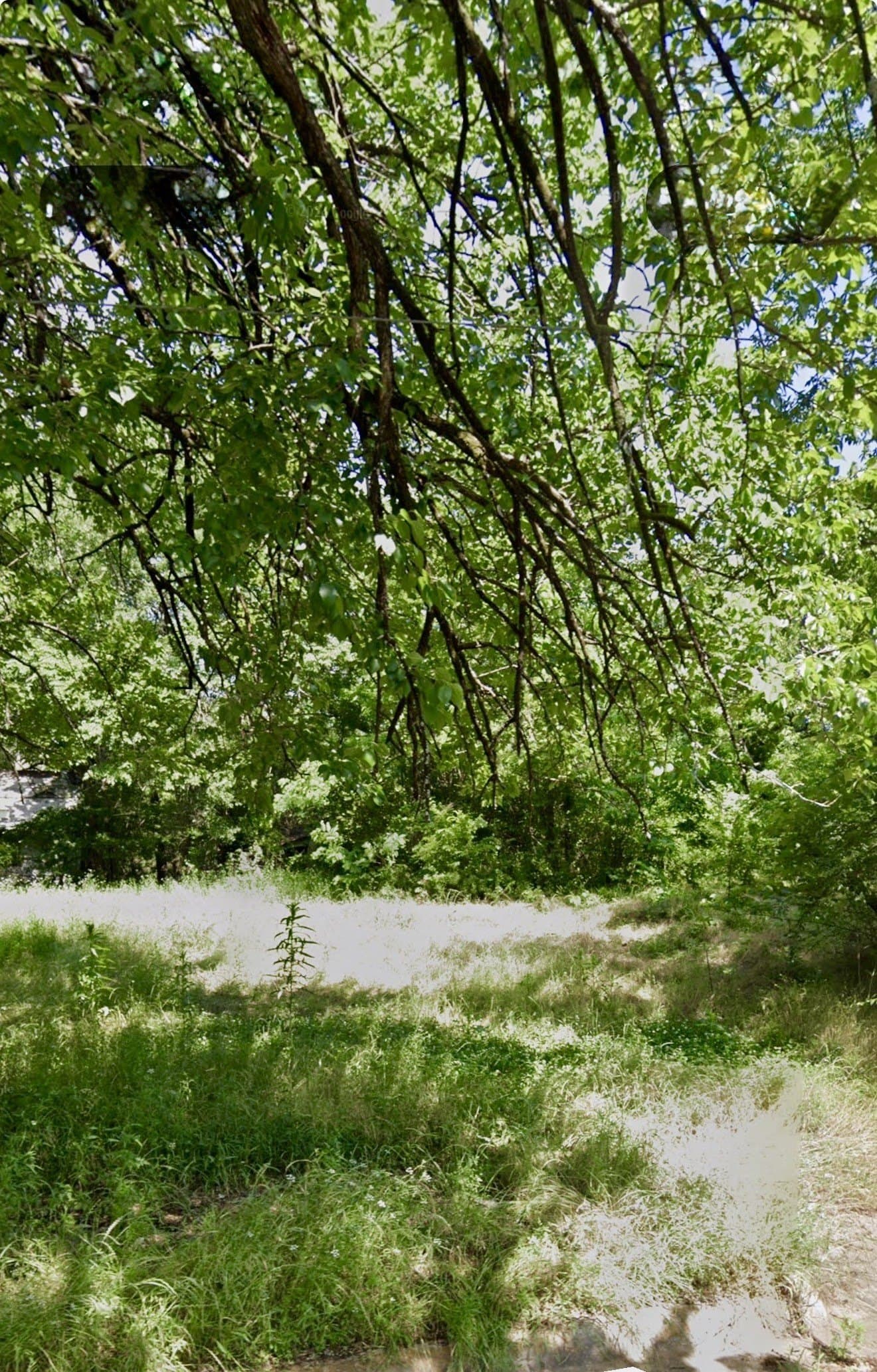 0.16 acres in Lamar County gallery image 2