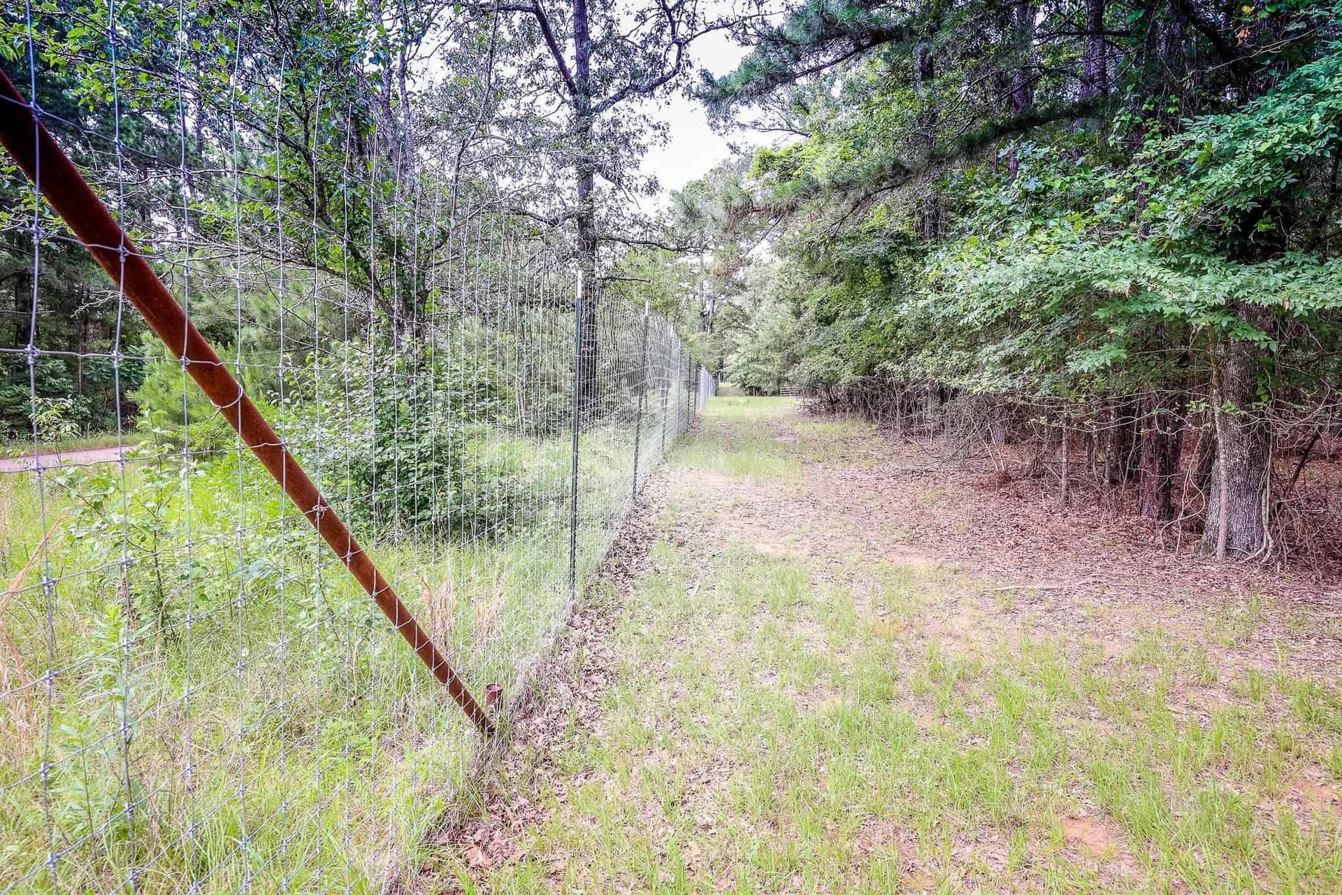 60.34 acres in Harrison County - photo 13