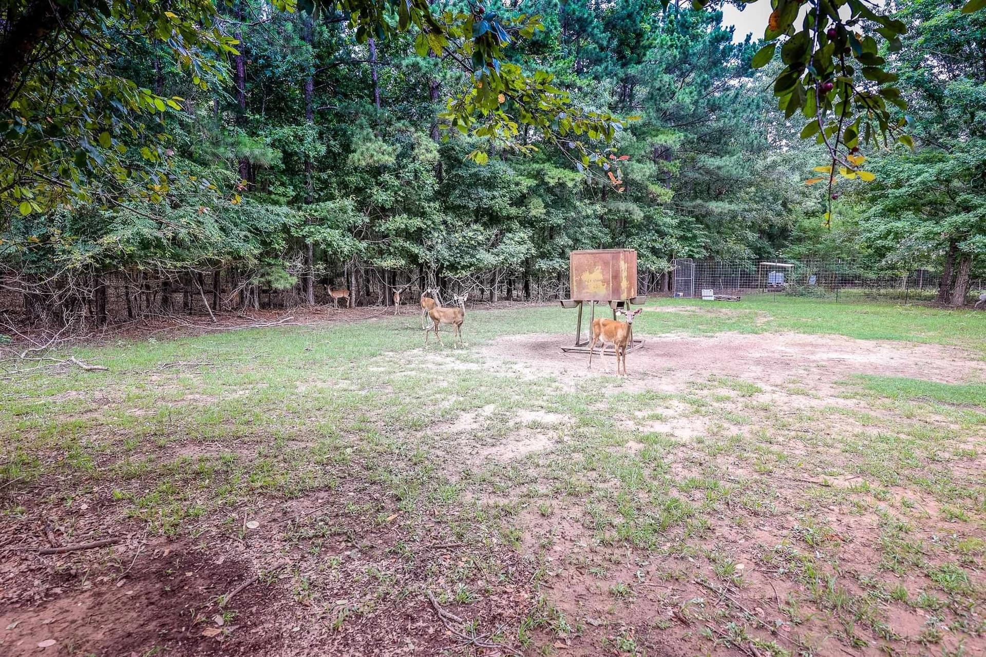 60.34 acres in Harrison County - photo 5