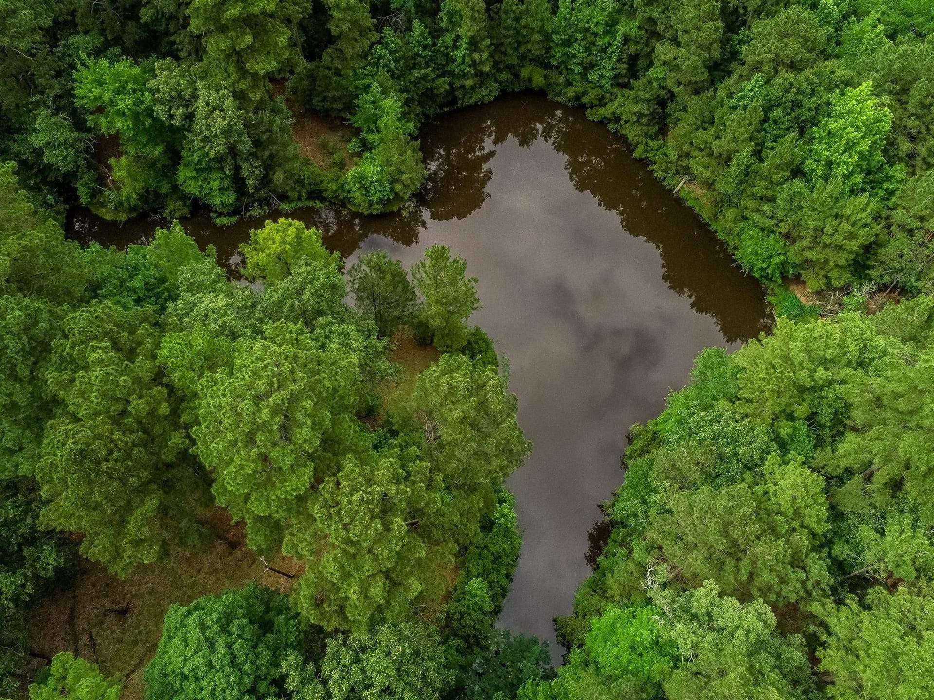 60.34 acres in Harrison County - photo 17