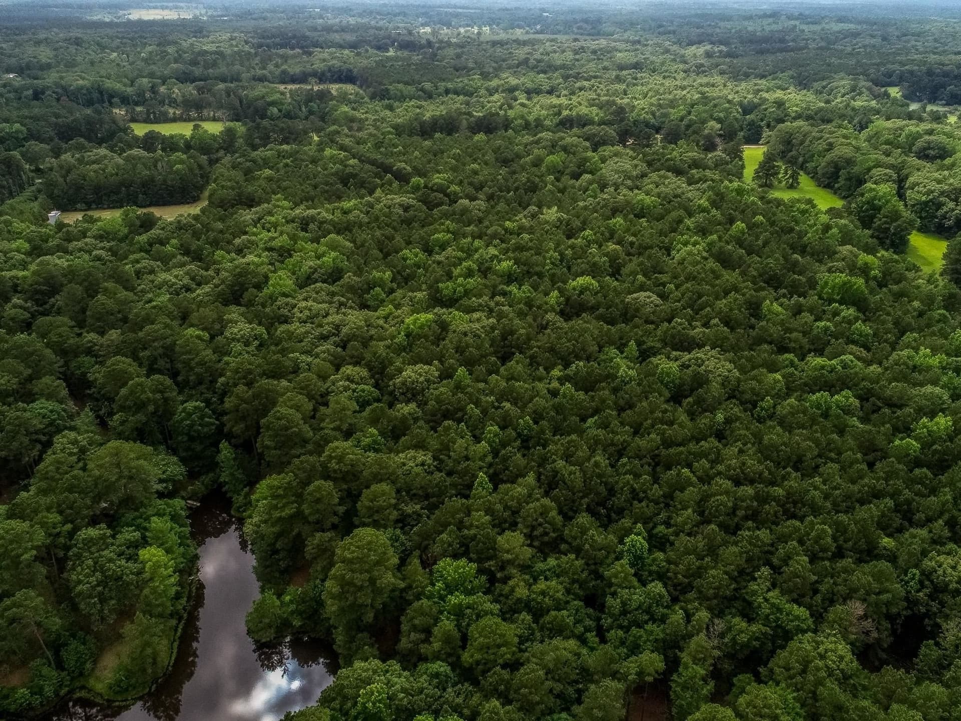 60.34 acres in Harrison County - photo 21