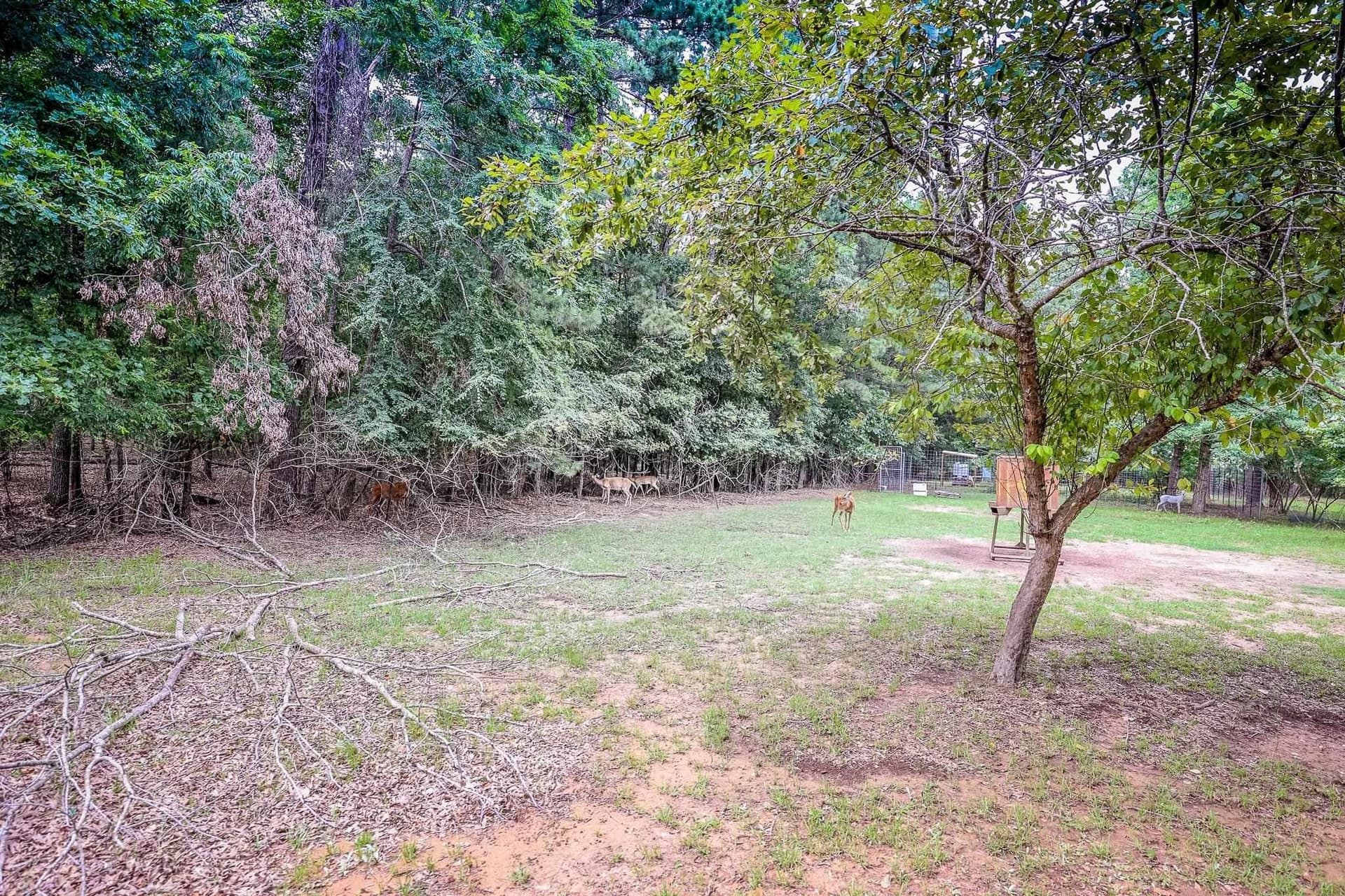 60.34 acres in Harrison County - photo 4