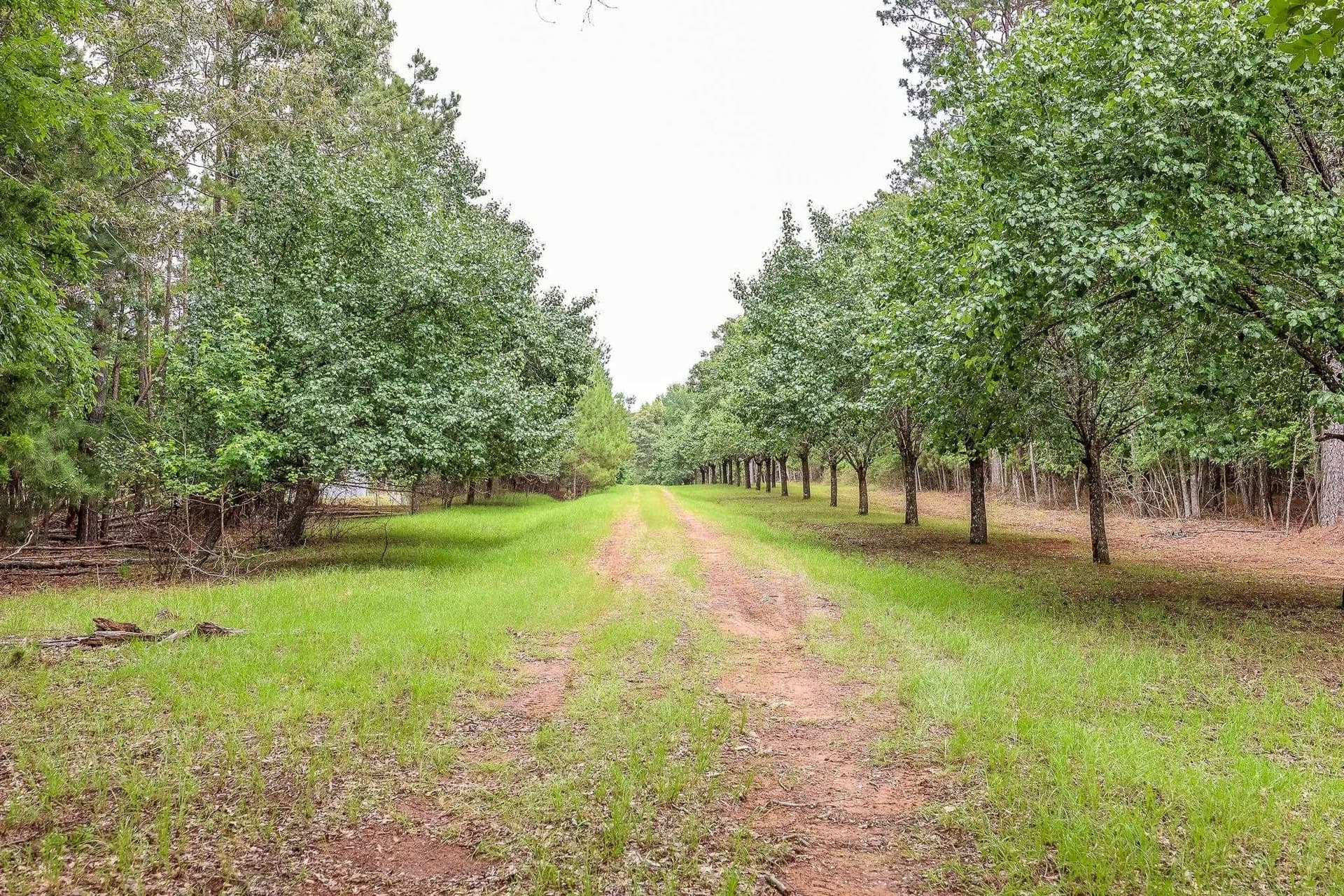 60.34 acres in Harrison County - photo 15