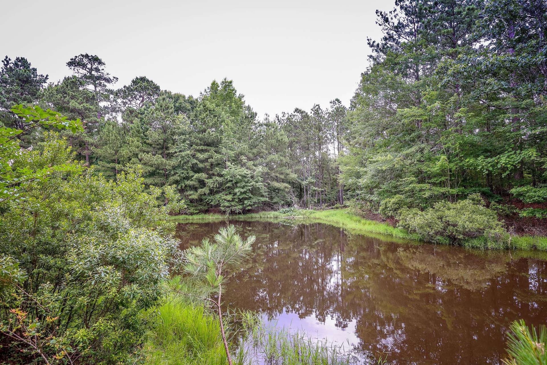 60.34 acres in Harrison County - photo 12