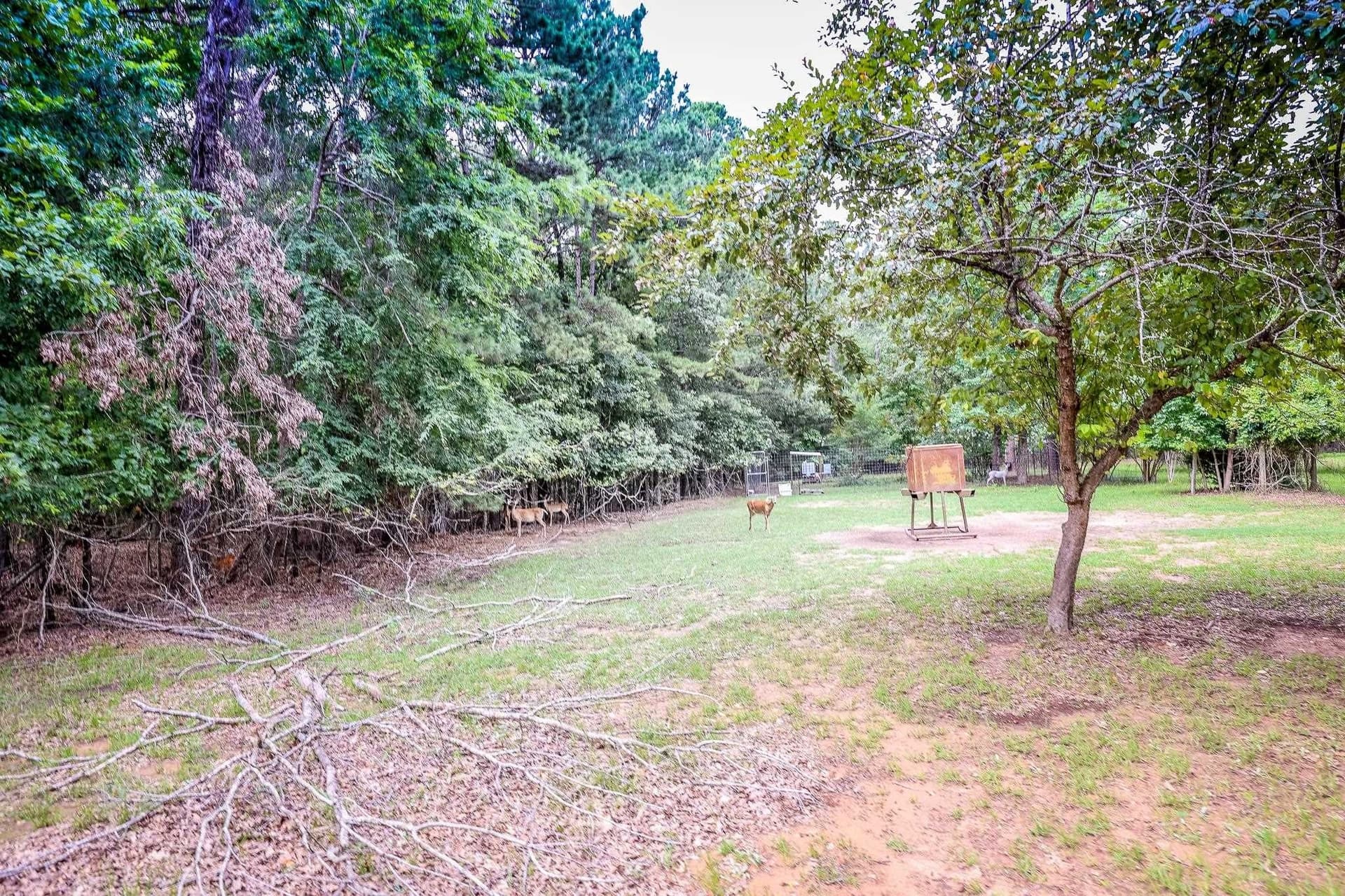 60.34 acres in Harrison County - photo 3