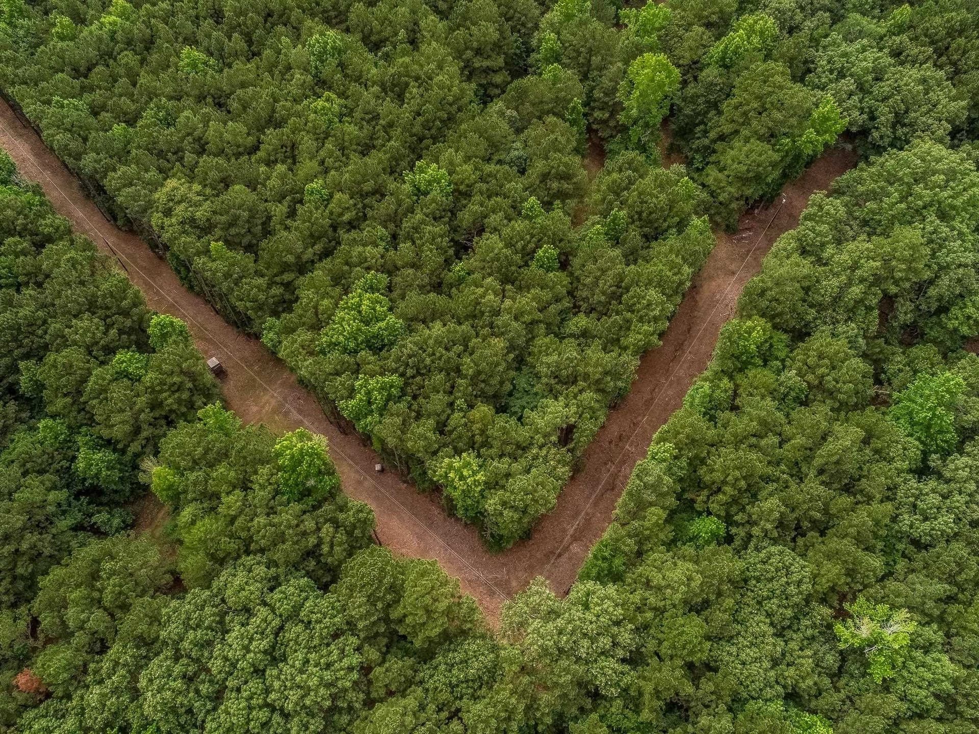 60.34 acres in Harrison County - photo 22
