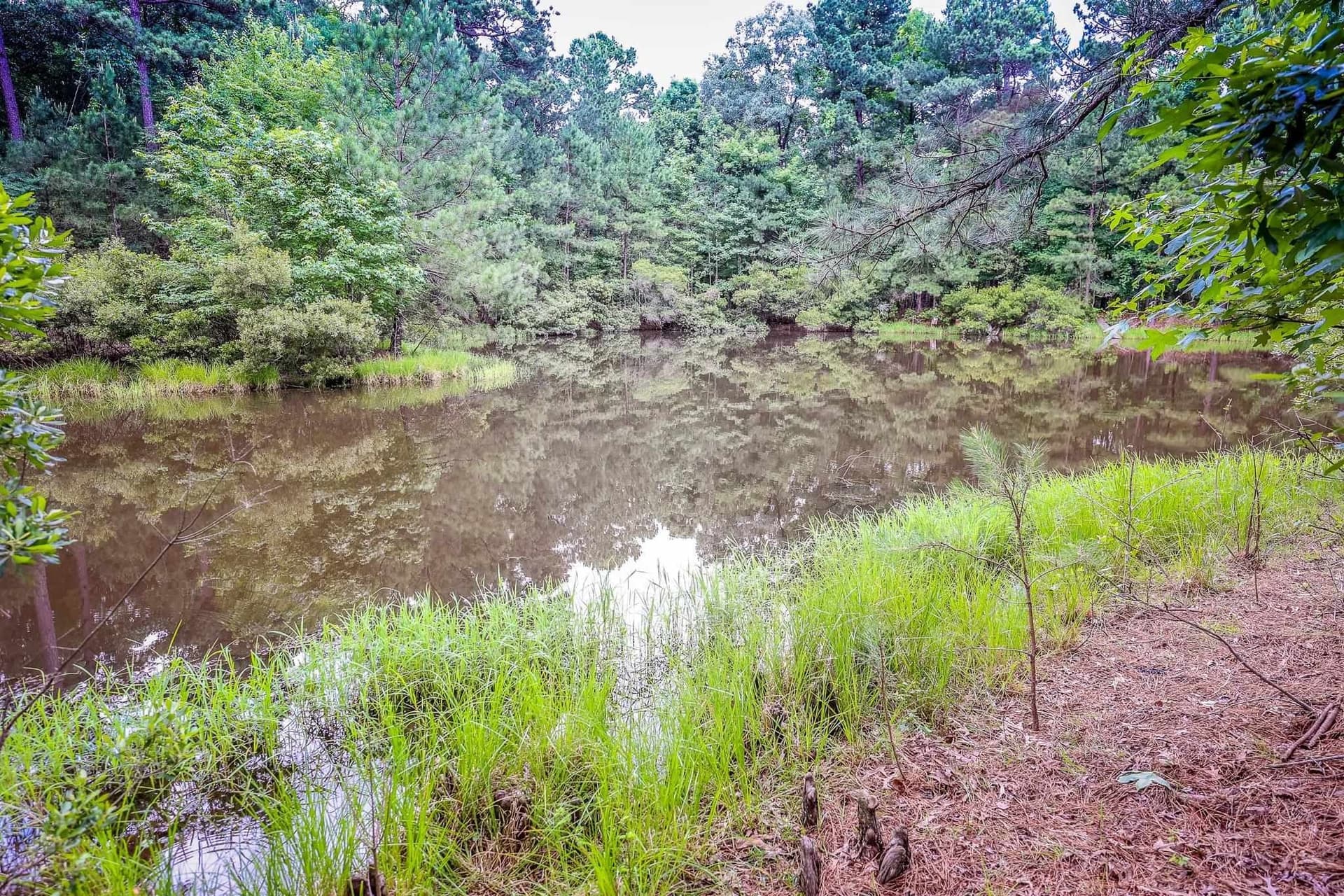 60.34 acres in Harrison County - photo 10