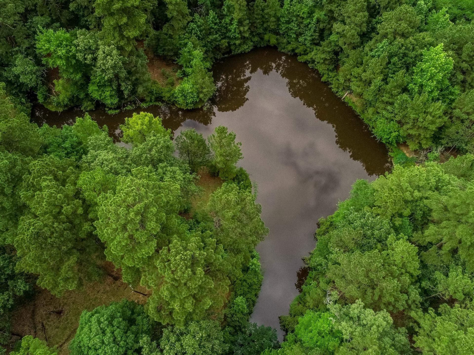 60.34 acres in Harrison County - photo 18