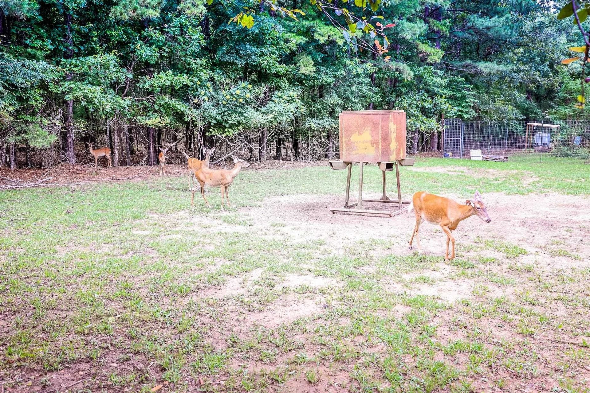 60.34 acres in Harrison County - photo 6