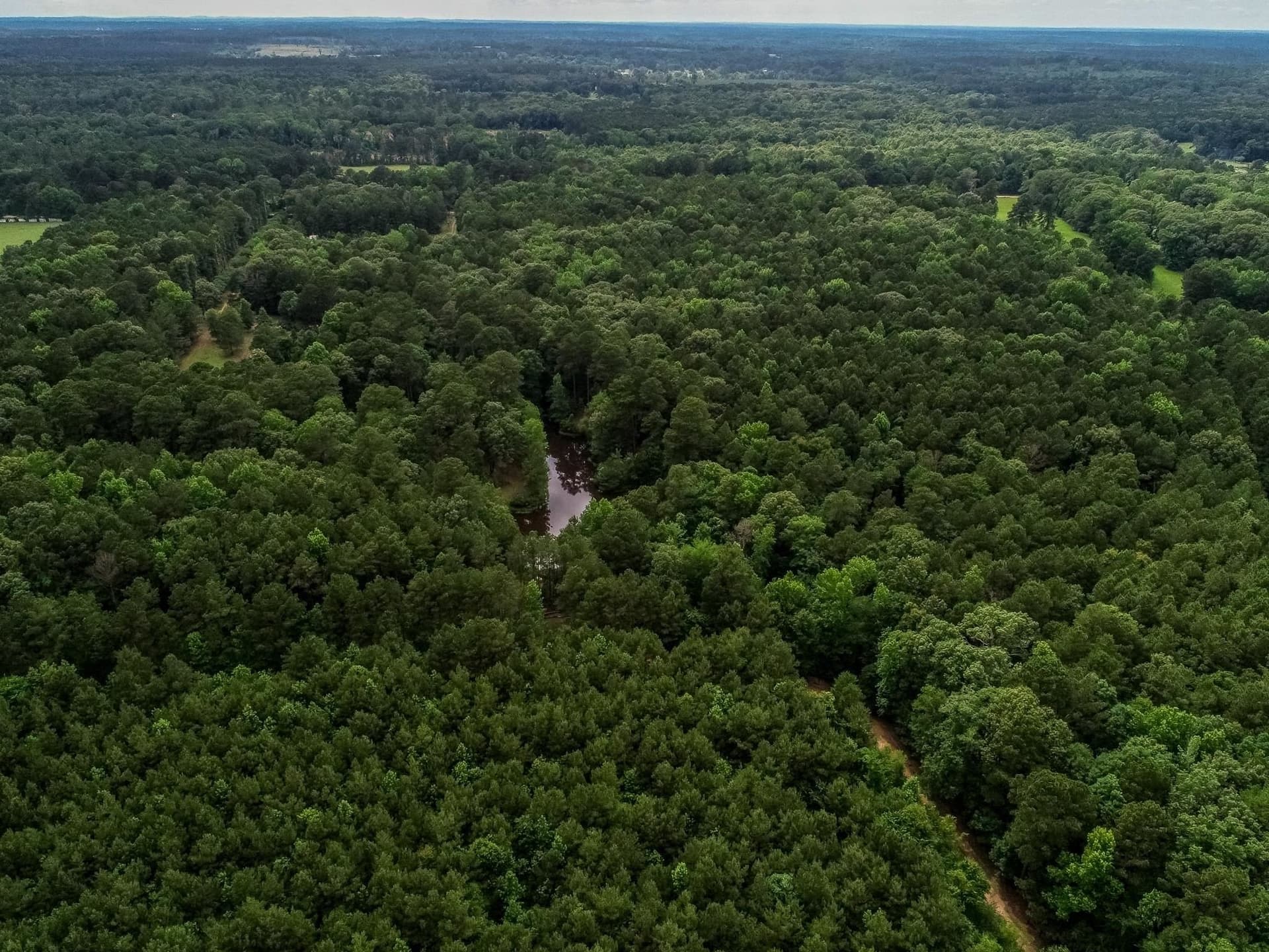 60.34 acres in Harrison County - photo 20