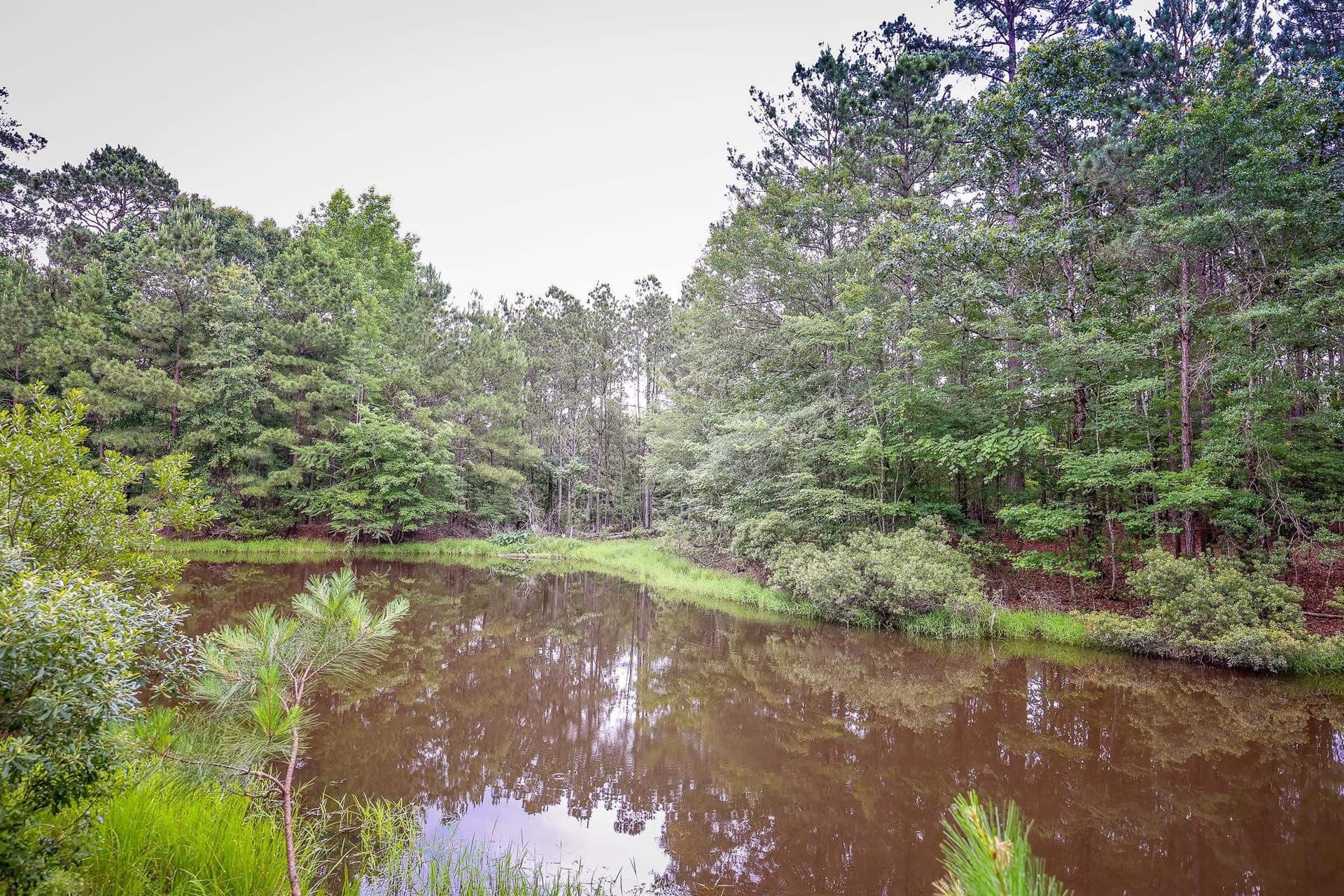 60.34 acres in Harrison County - photo 11
