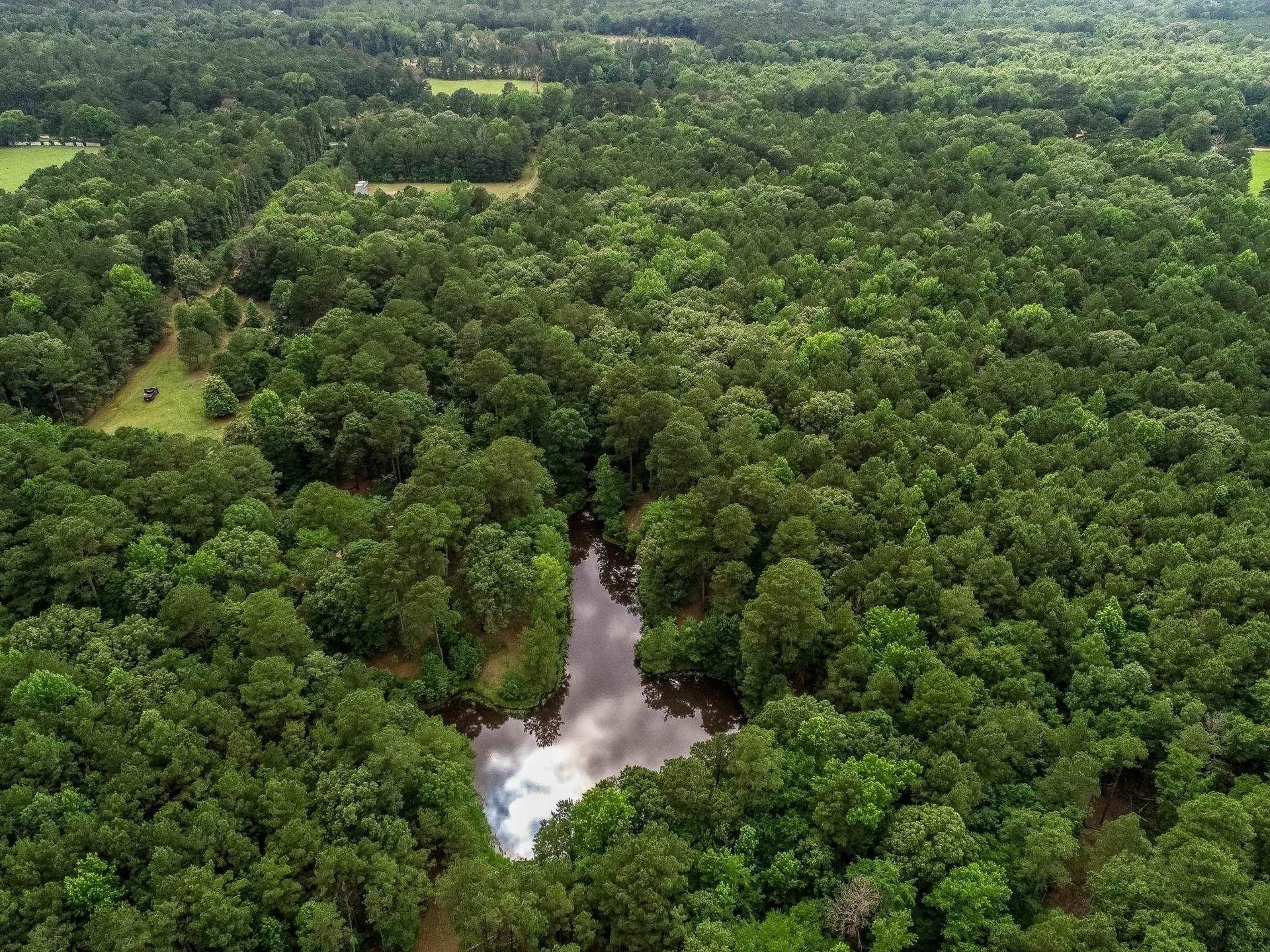 60.34 acres in Harrison County - photo 19