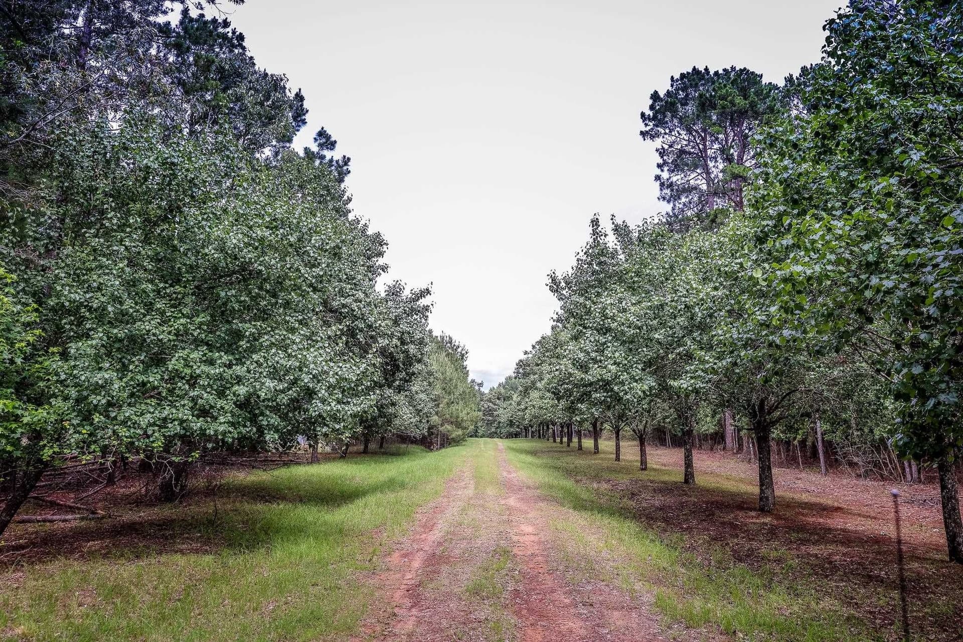 60.34 acres in Harrison County