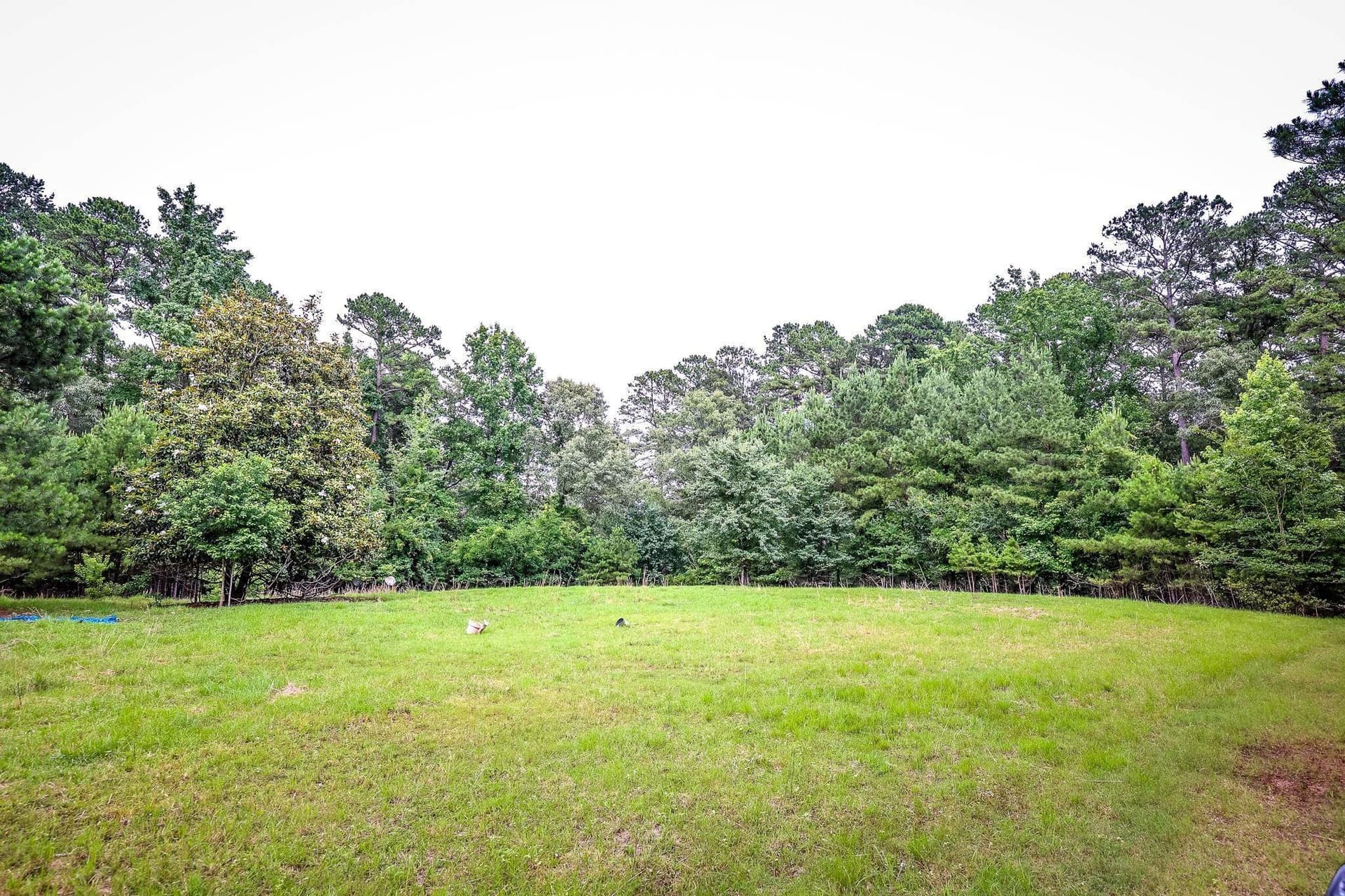 60.34 acres in Harrison County - photo 7