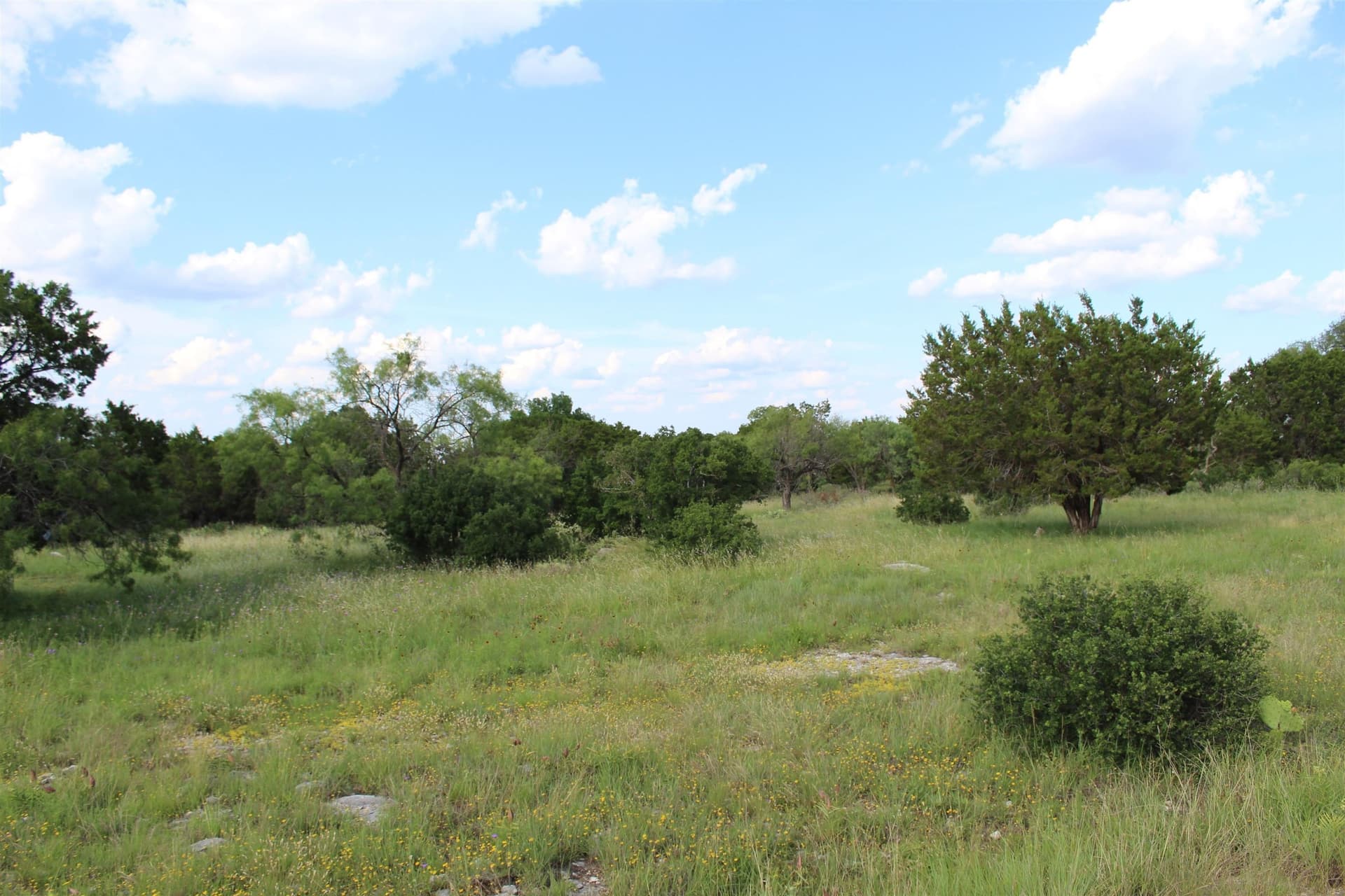0.29 acres in Llano County - photo 6