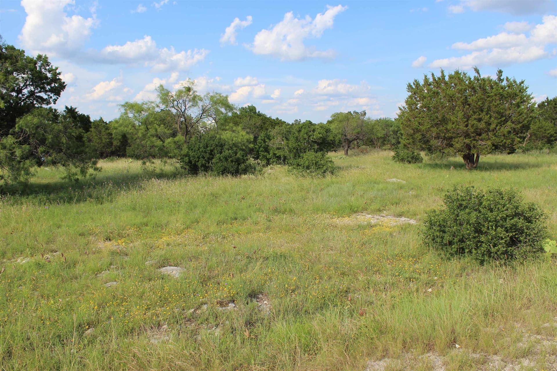 0.29 acres in Llano County - photo 8