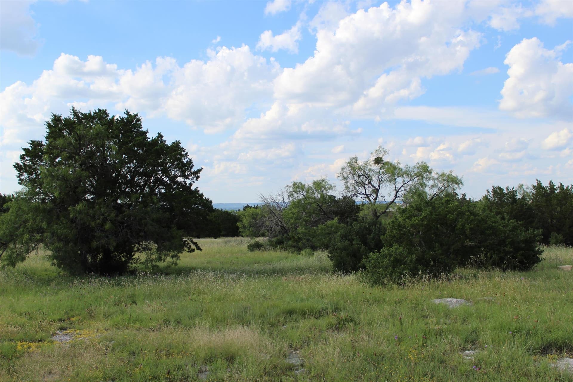 0.29 acres in Llano County gallery image 4