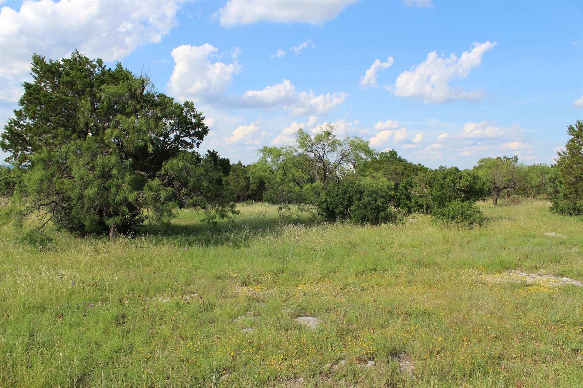 0.29 acres in Llano County - photo 9