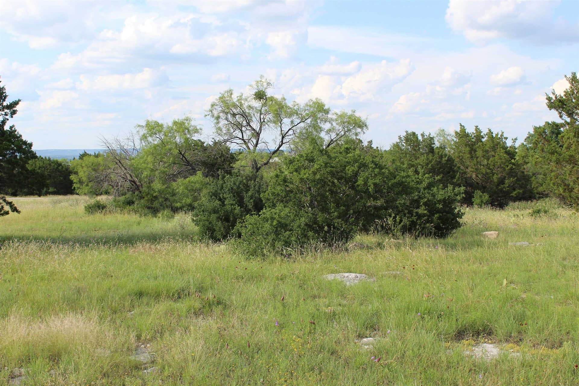 0.29 acres in Llano County - photo 10