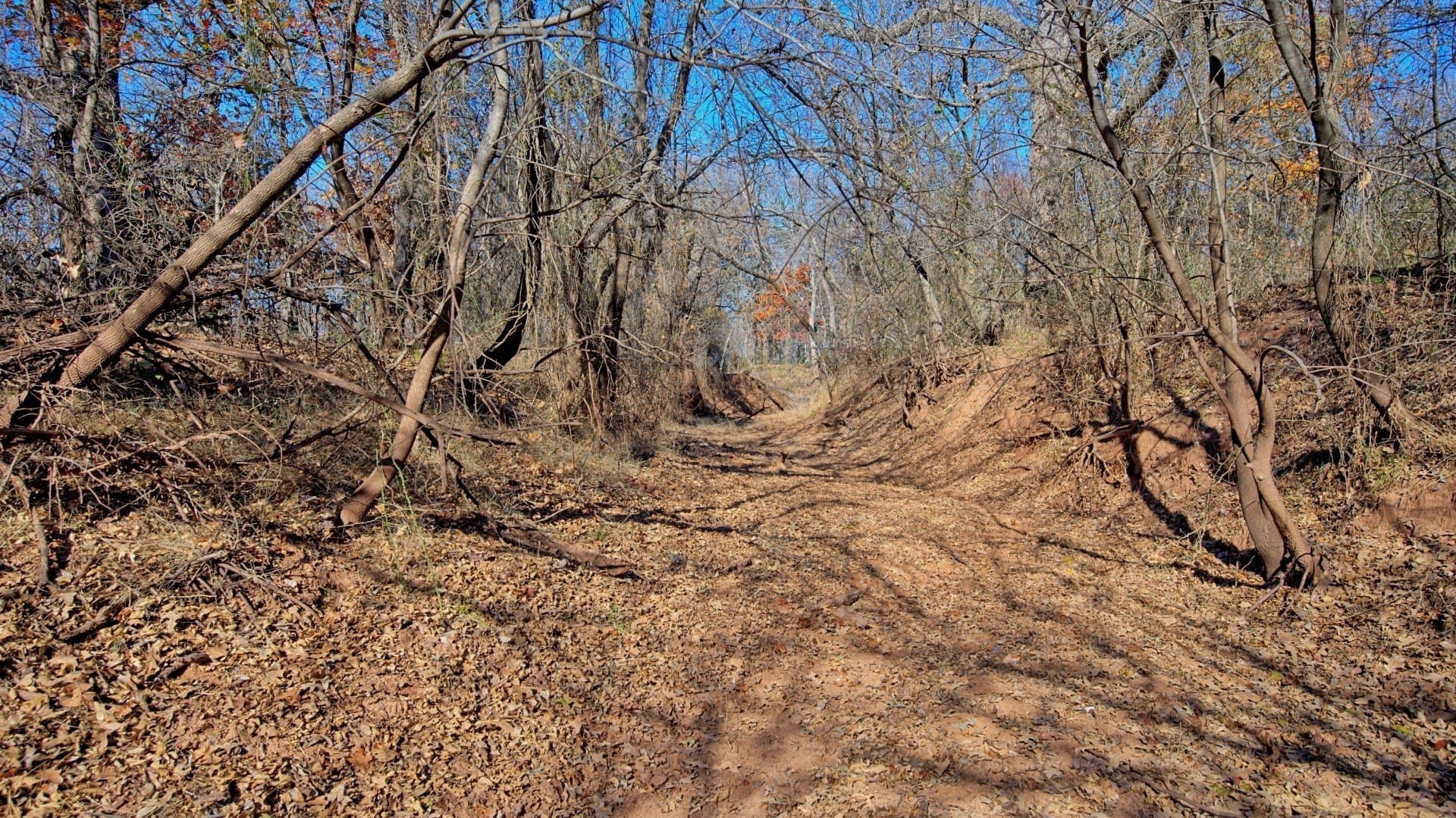 401 acres in Clay County - photo 33