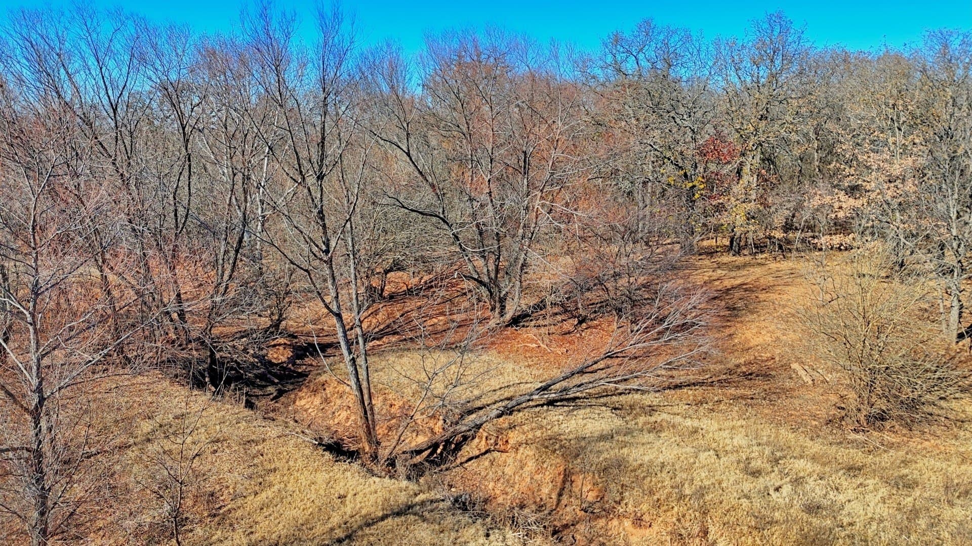 401 acres in Clay County - photo 29