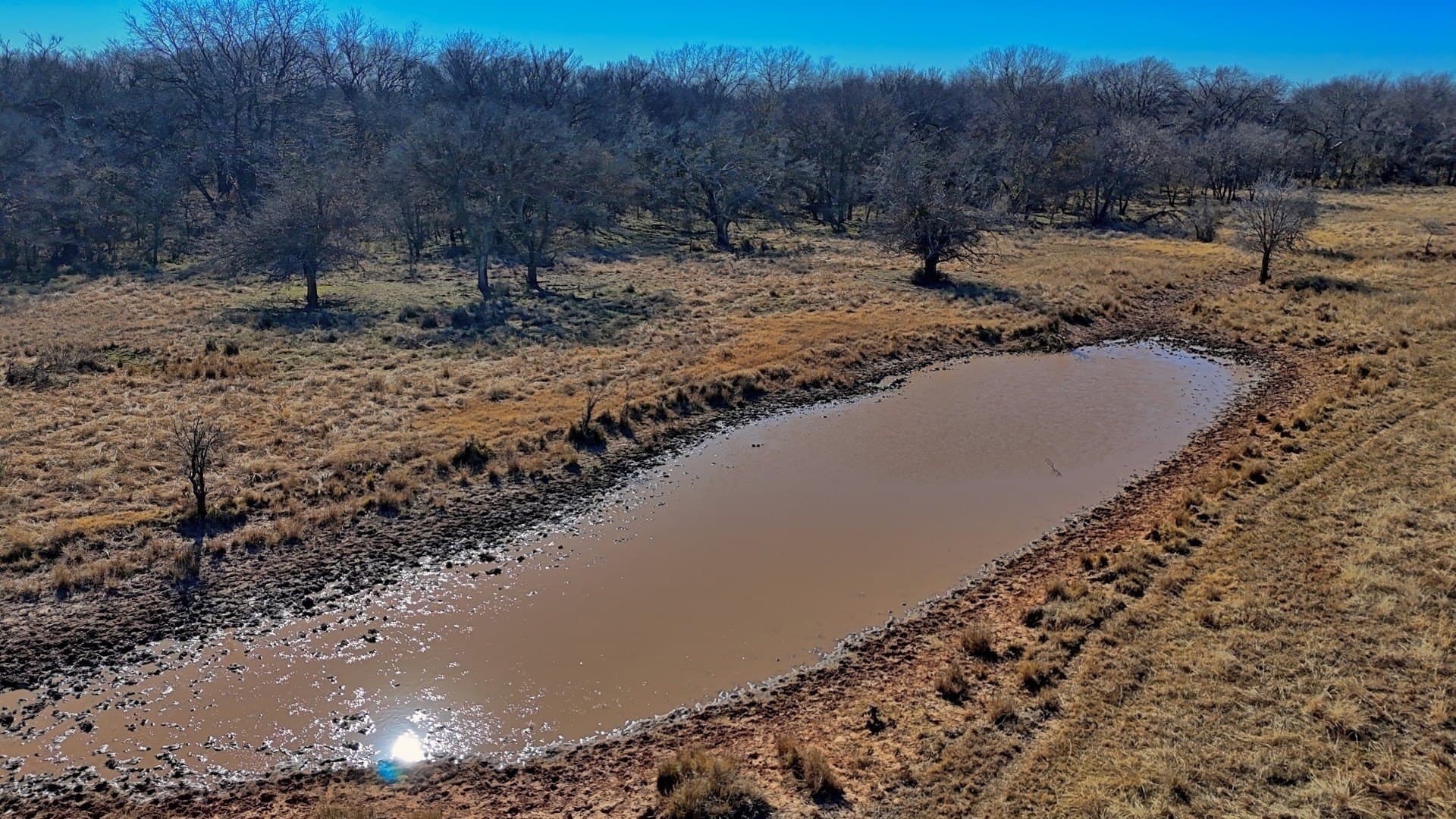 401 acres in Clay County gallery image 4