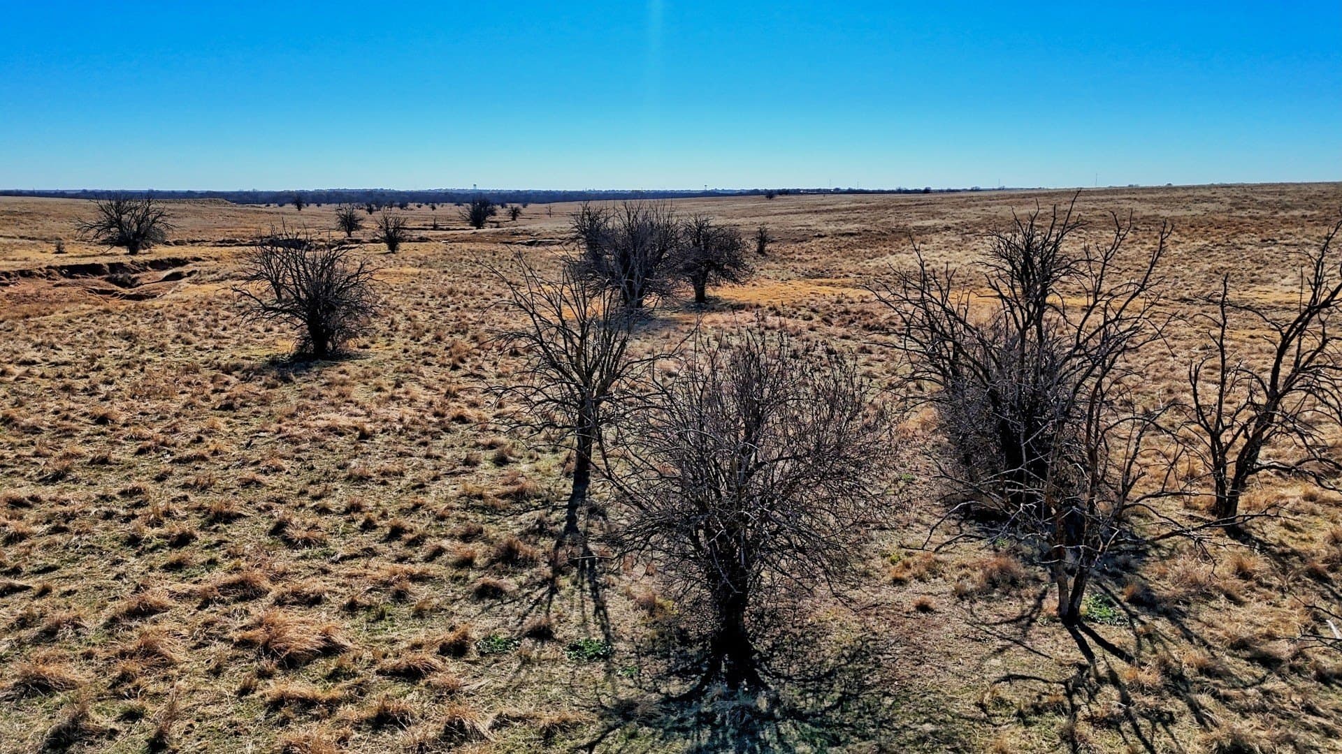 401 acres in Clay County - photo 28