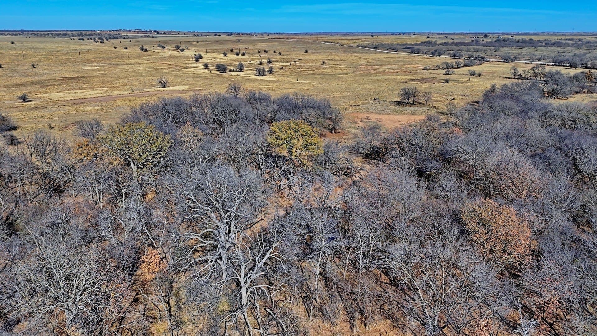 401 acres in Clay County - photo 19
