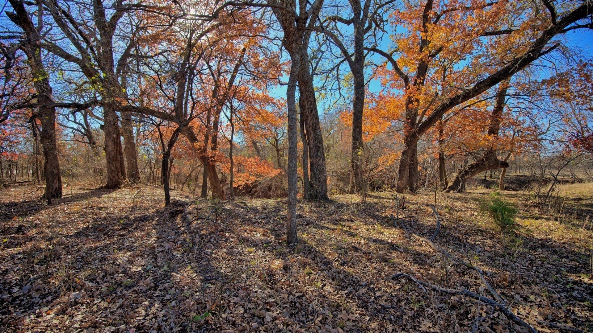 401 acres in Clay County - photo 30