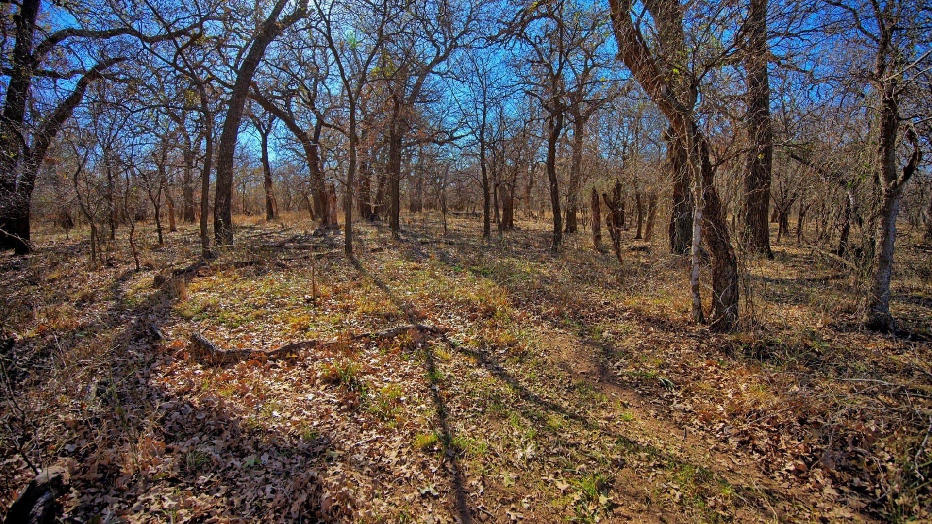 401 acres in Clay County - photo 37