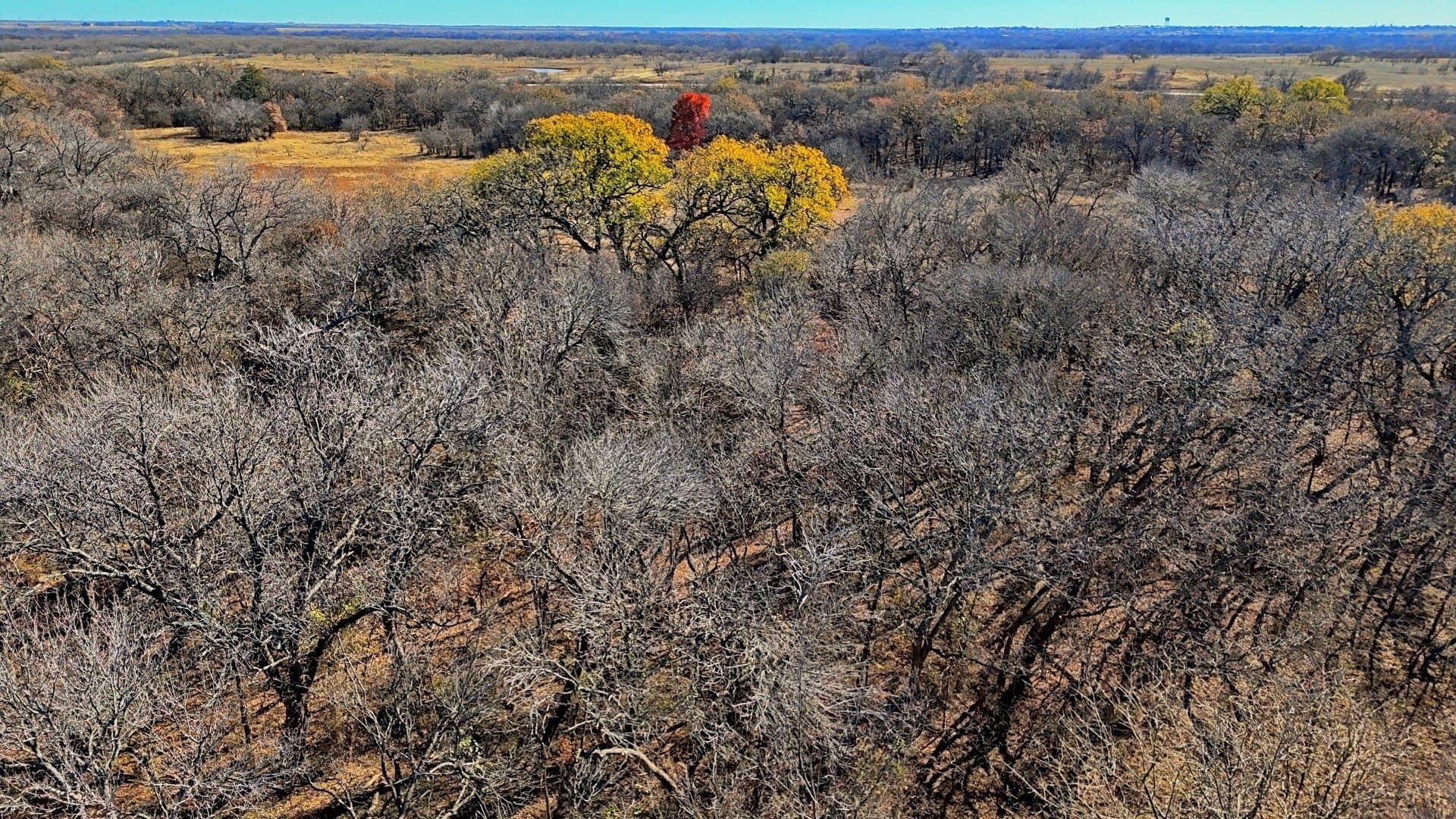 401 acres in Clay County - photo 20