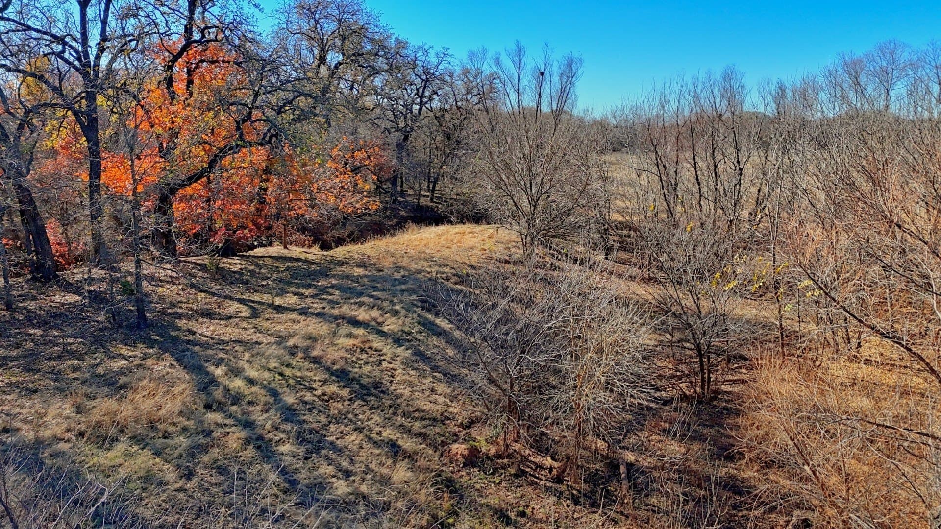 401 acres in Clay County - photo 26
