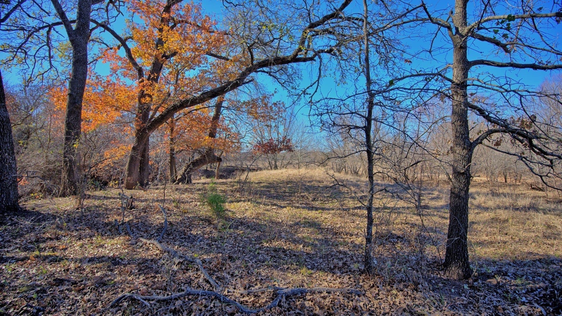 401 acres in Clay County - photo 25