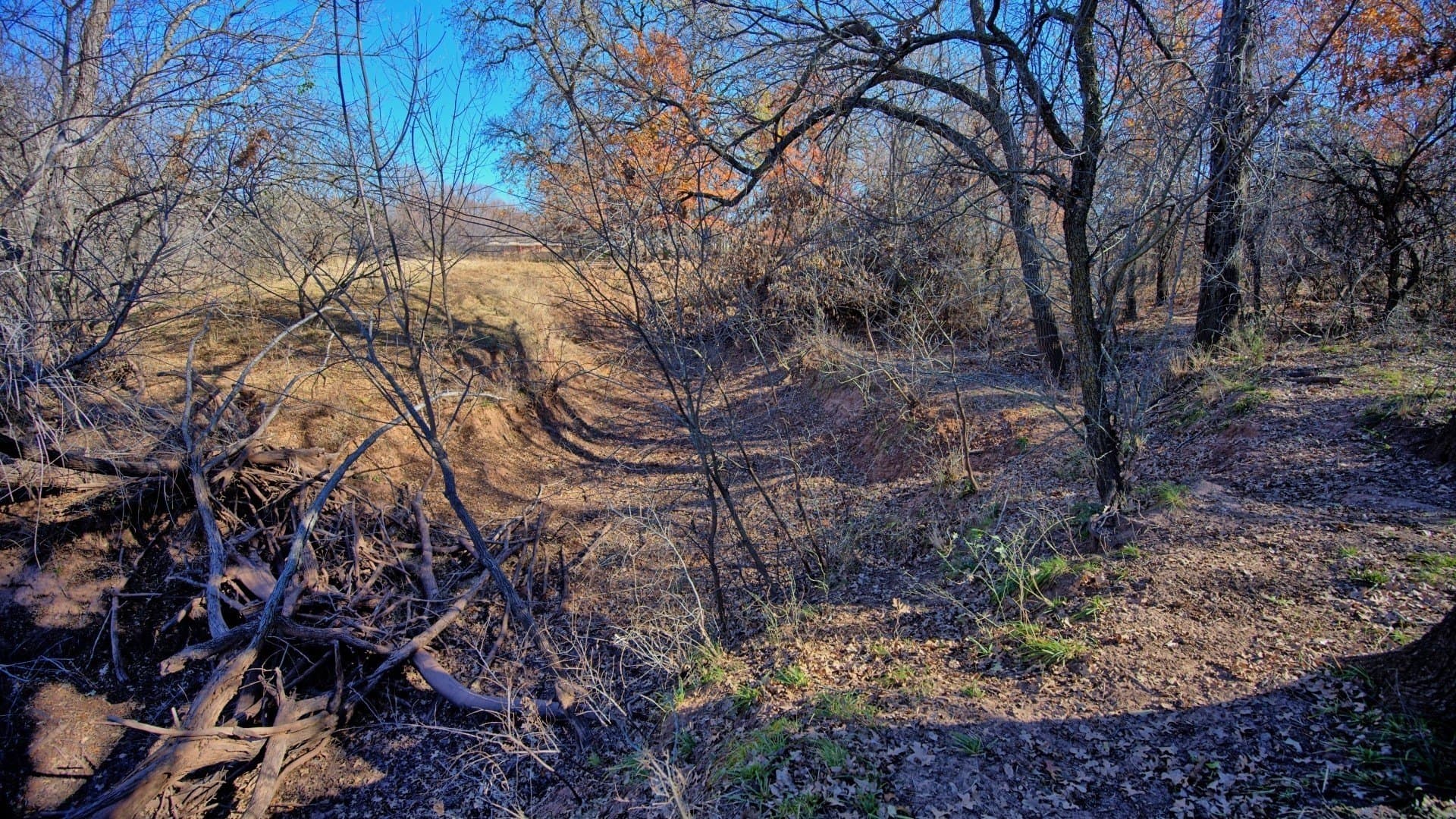 401 acres in Clay County - photo 32