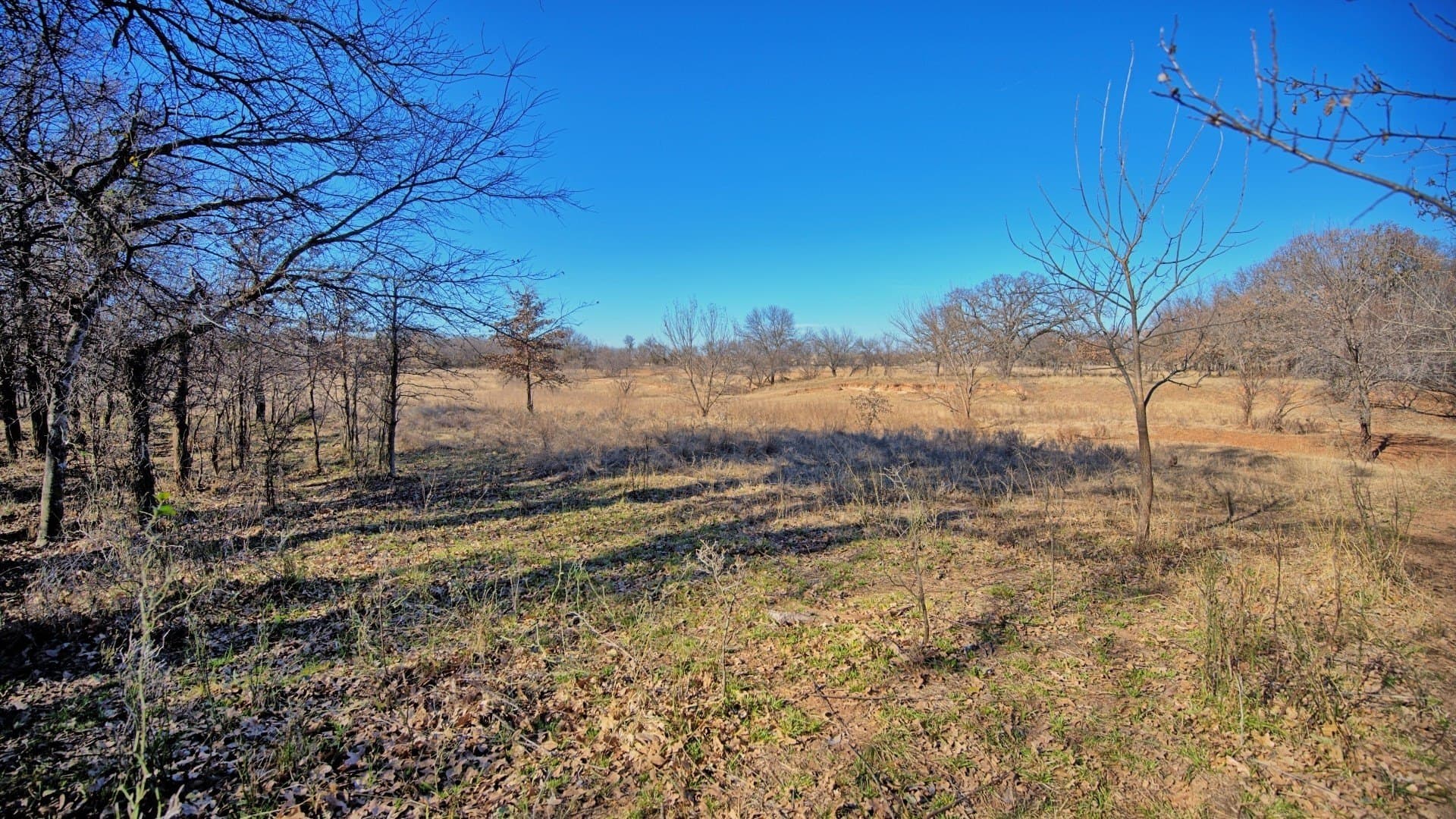 401 acres in Clay County - photo 35