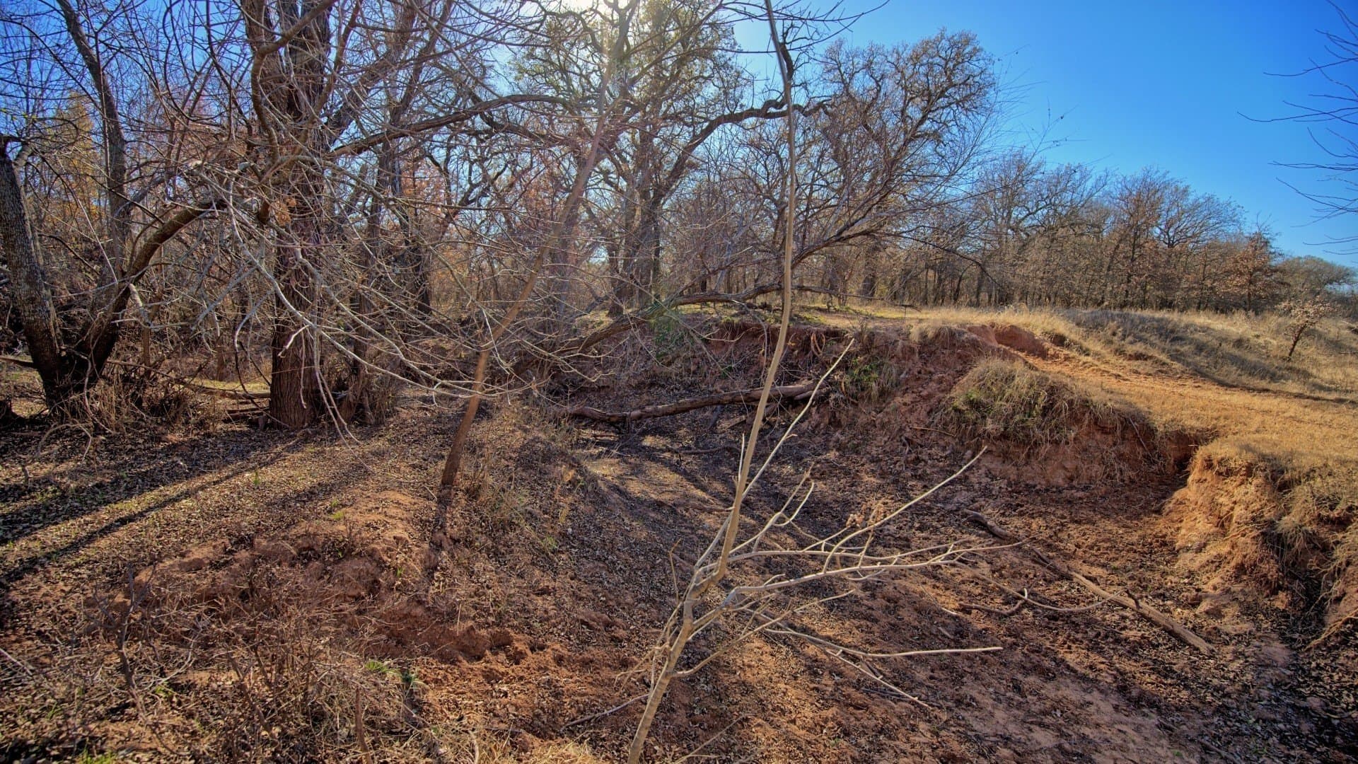 401 acres in Clay County - photo 31