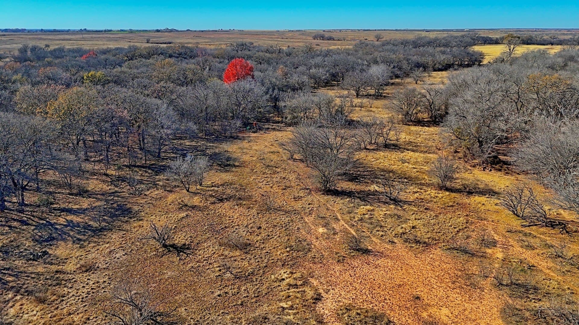 401 acres in Clay County - photo 24