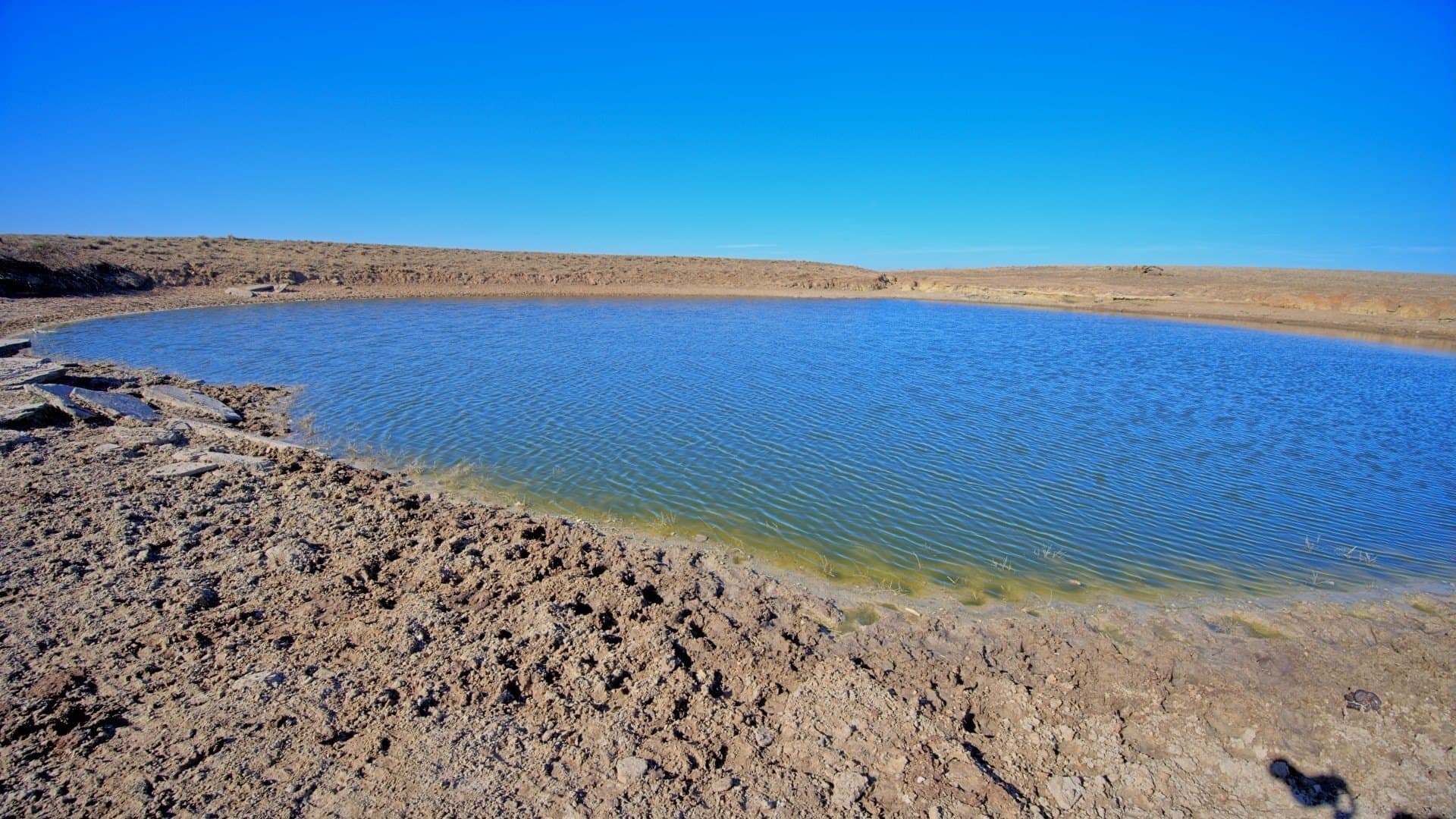 401 acres in Clay County gallery image 3