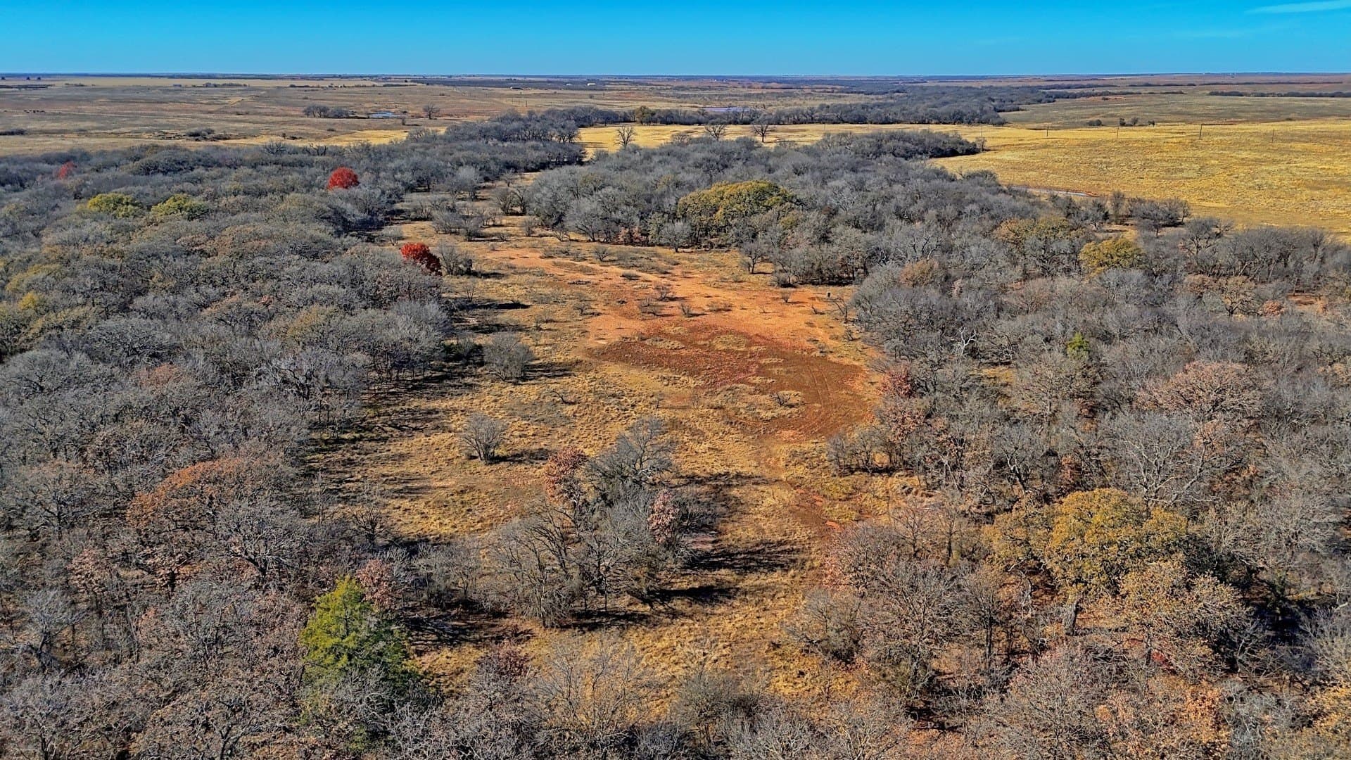 401 acres in Clay County - photo 22