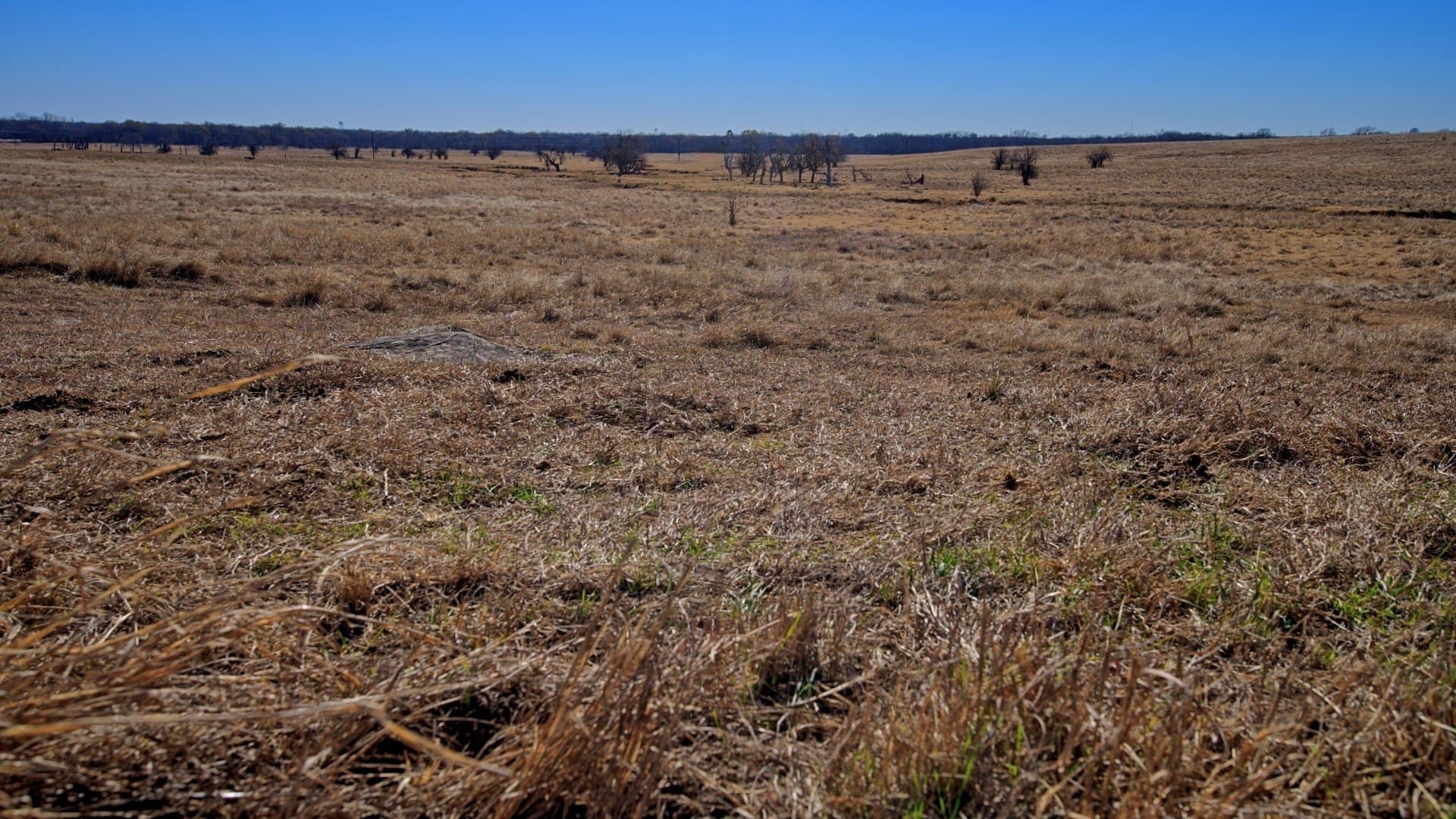401 acres in Clay County - photo 17