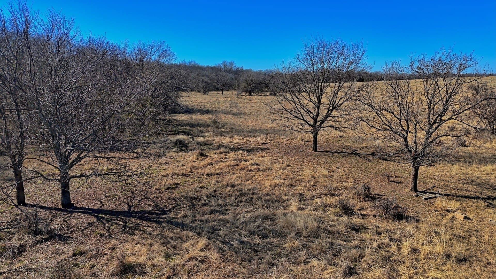 401 acres in Clay County - photo 38