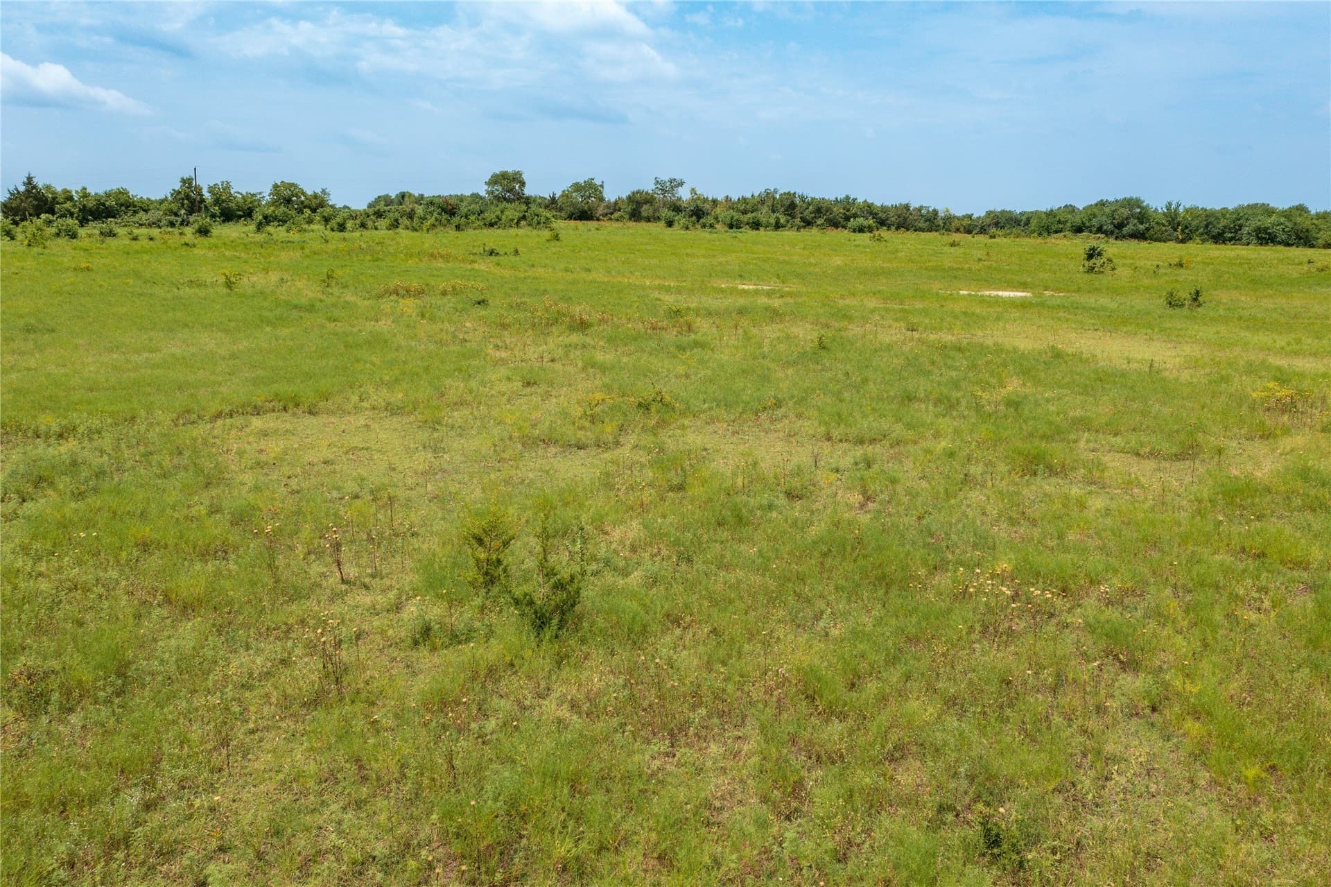 14 acres in Fannin County gallery image 3
